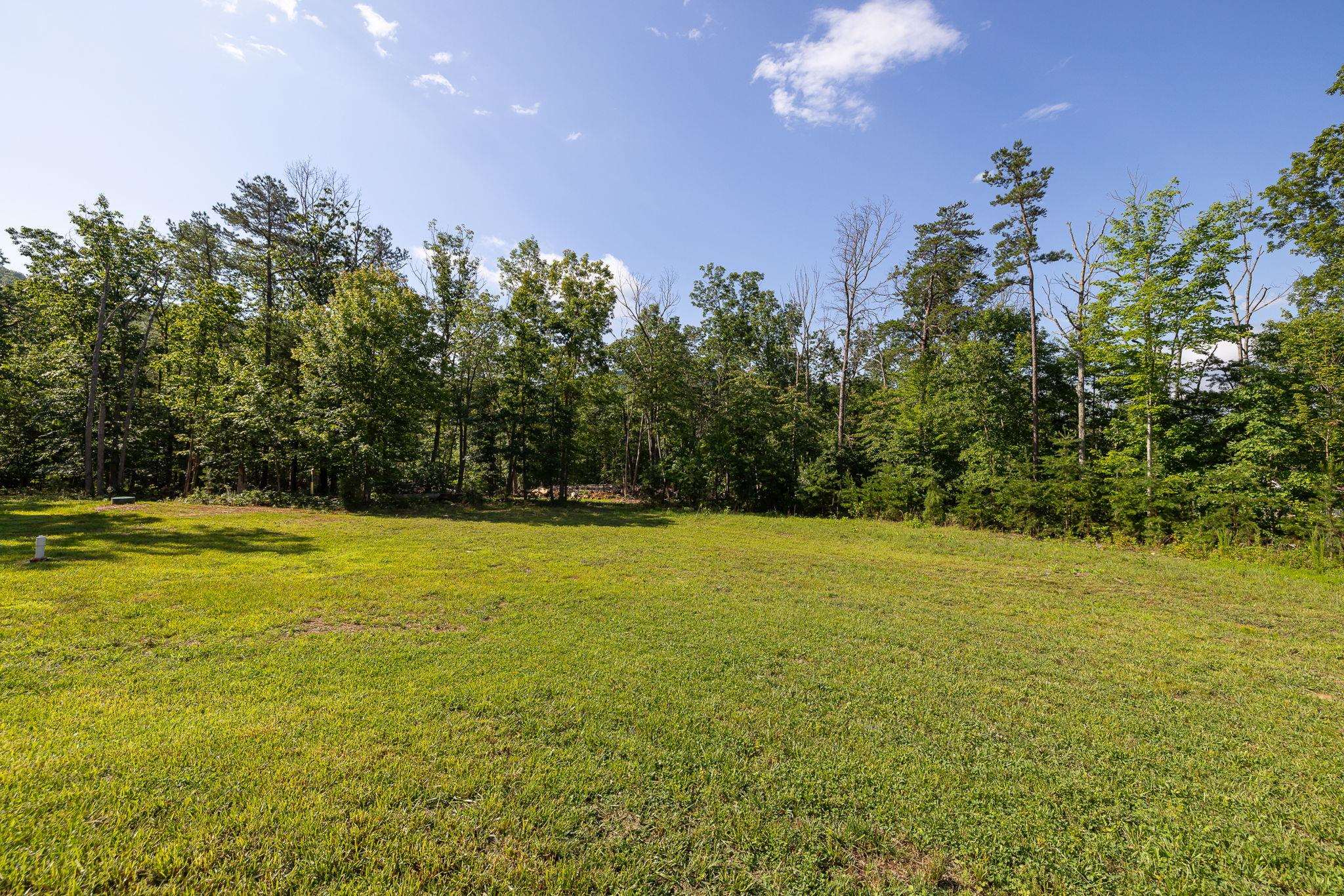 3907 MULE SKINNER LN, ELKTON, Virginia 22827, 3 Bedrooms Bedrooms, ,2 BathroomsBathrooms,Residential,3907 MULE SKINNER LN,675899 MLS # 675899