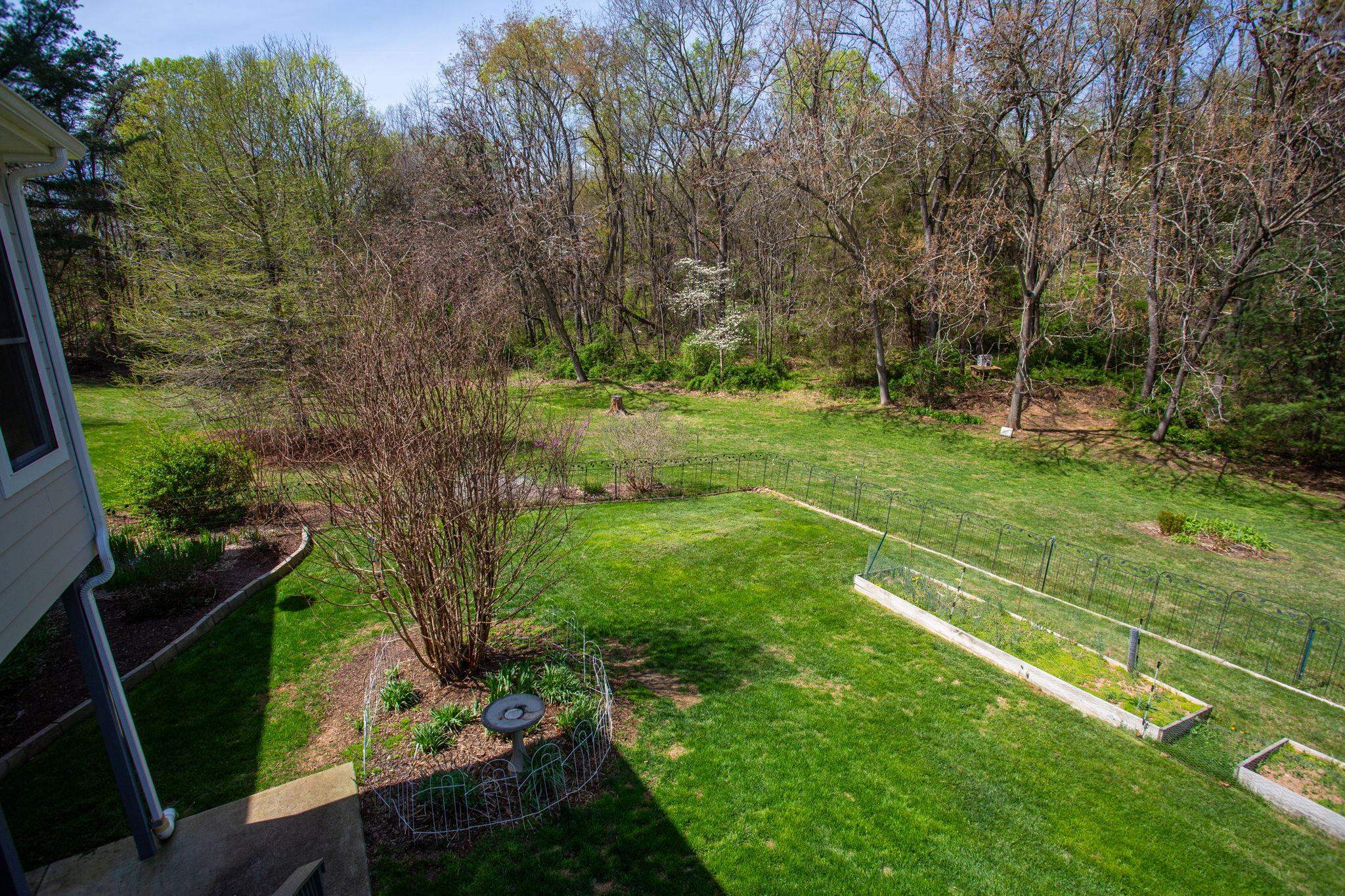 with lots of perenials