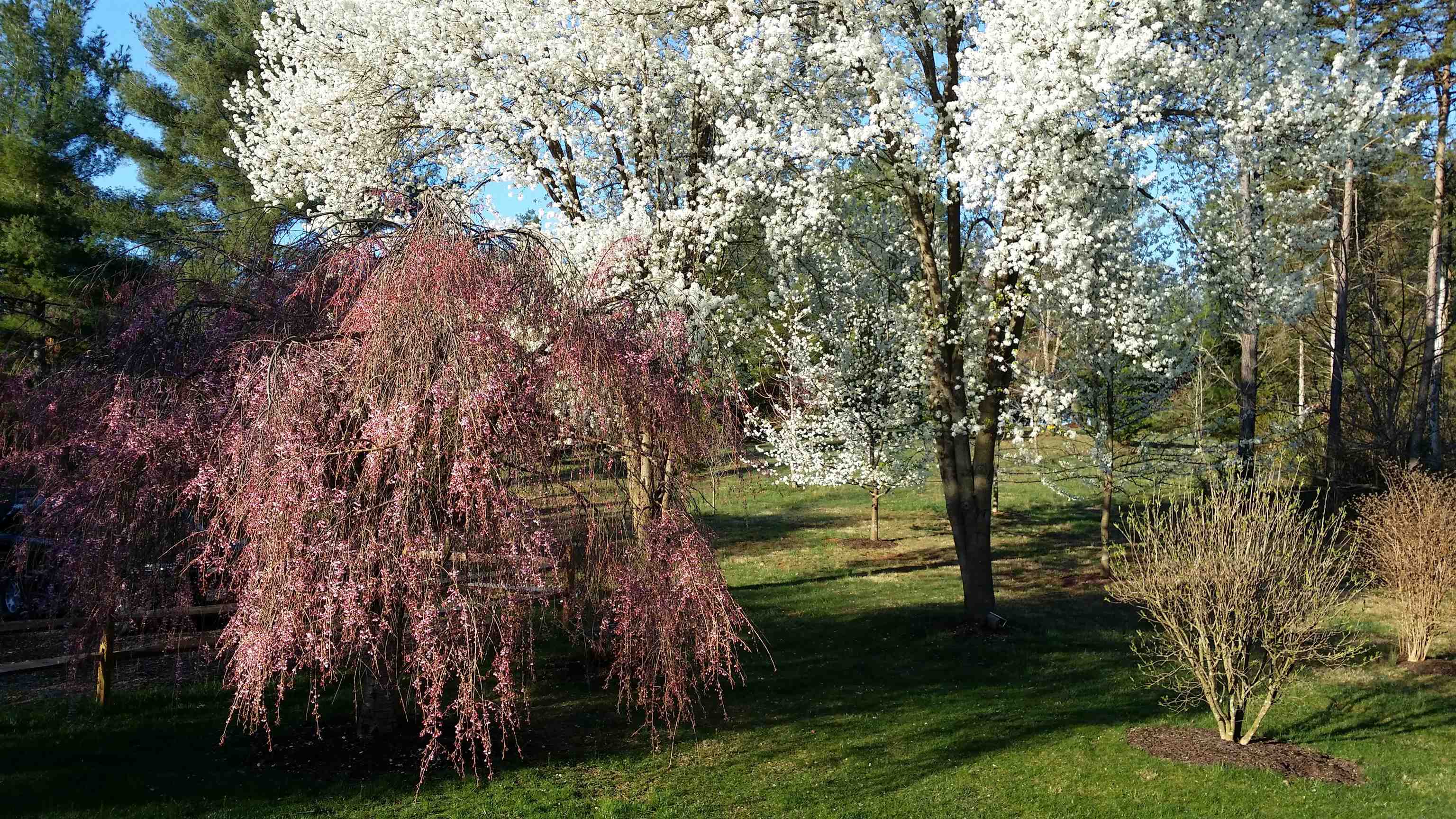 131 RURAL DR, MOUNT SOLON, Virginia 22843, 4 Bedrooms Bedrooms, ,3 BathroomsBathrooms,Residential,131 RURAL DR,675906 MLS # 675906