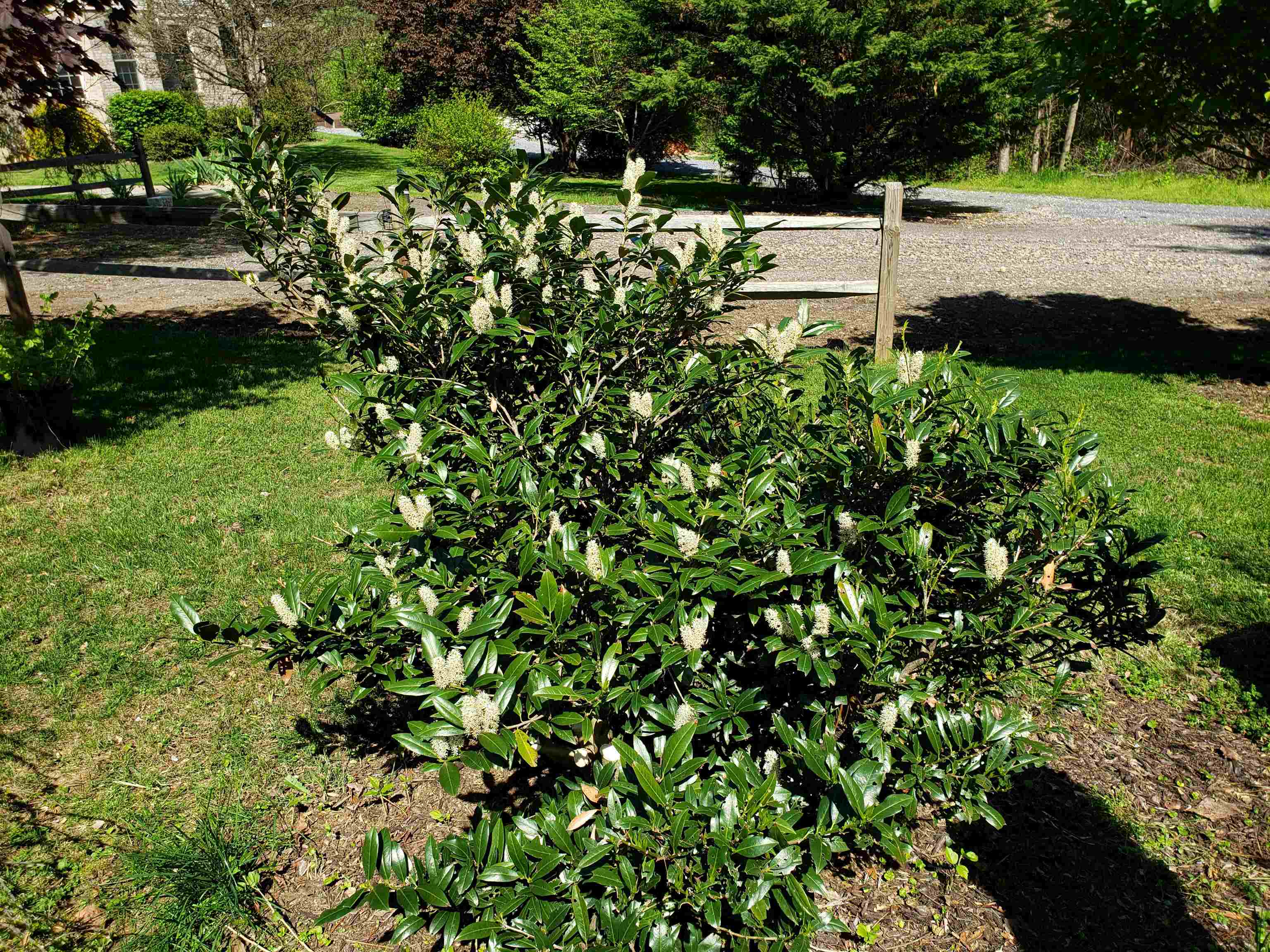 131 RURAL DR, MOUNT SOLON, Virginia 22843, 4 Bedrooms Bedrooms, ,3 BathroomsBathrooms,Residential,131 RURAL DR,675906 MLS # 675906