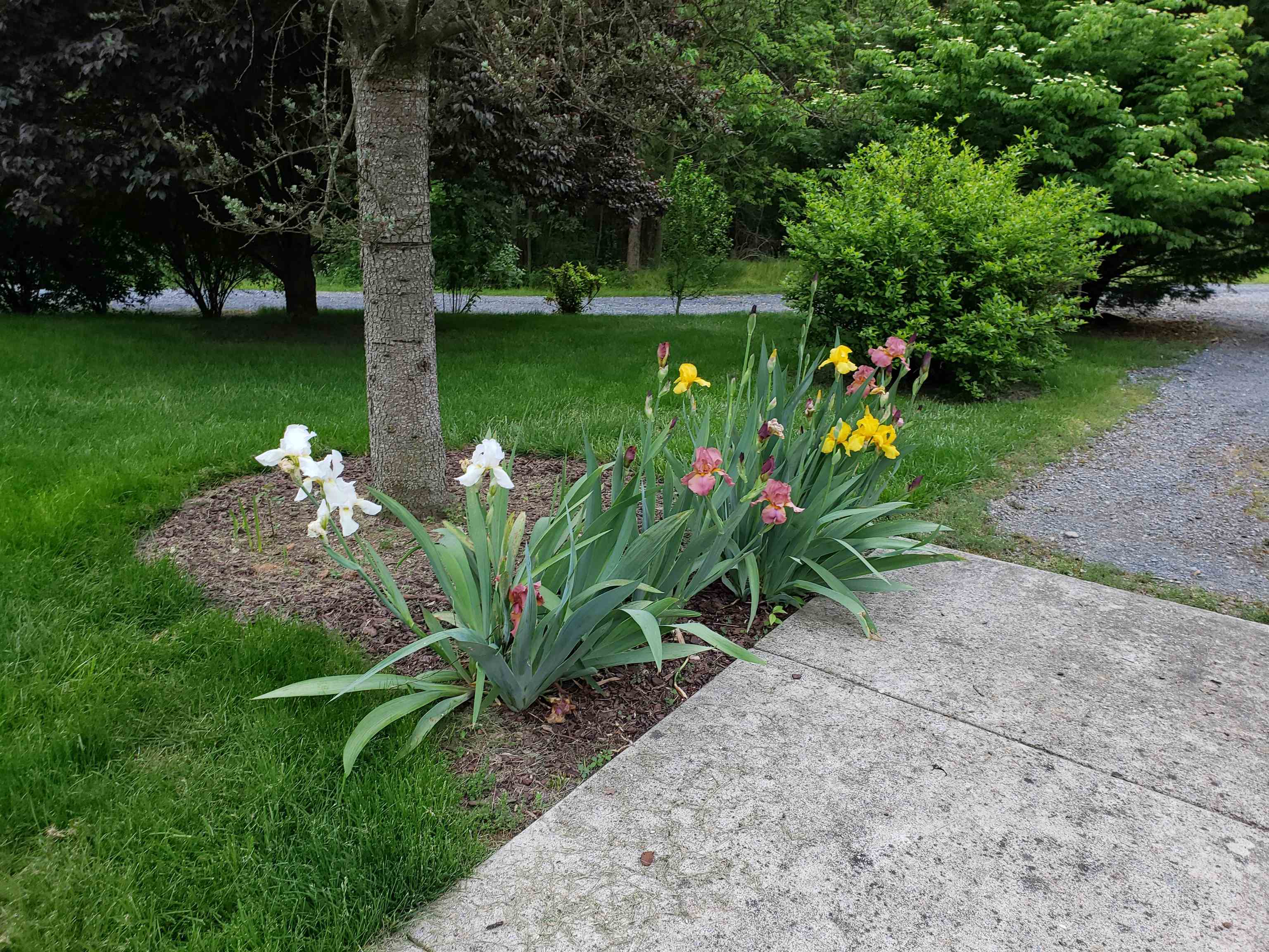 131 RURAL DR, MOUNT SOLON, Virginia 22843, 4 Bedrooms Bedrooms, ,3 BathroomsBathrooms,Residential,131 RURAL DR,675906 MLS # 675906