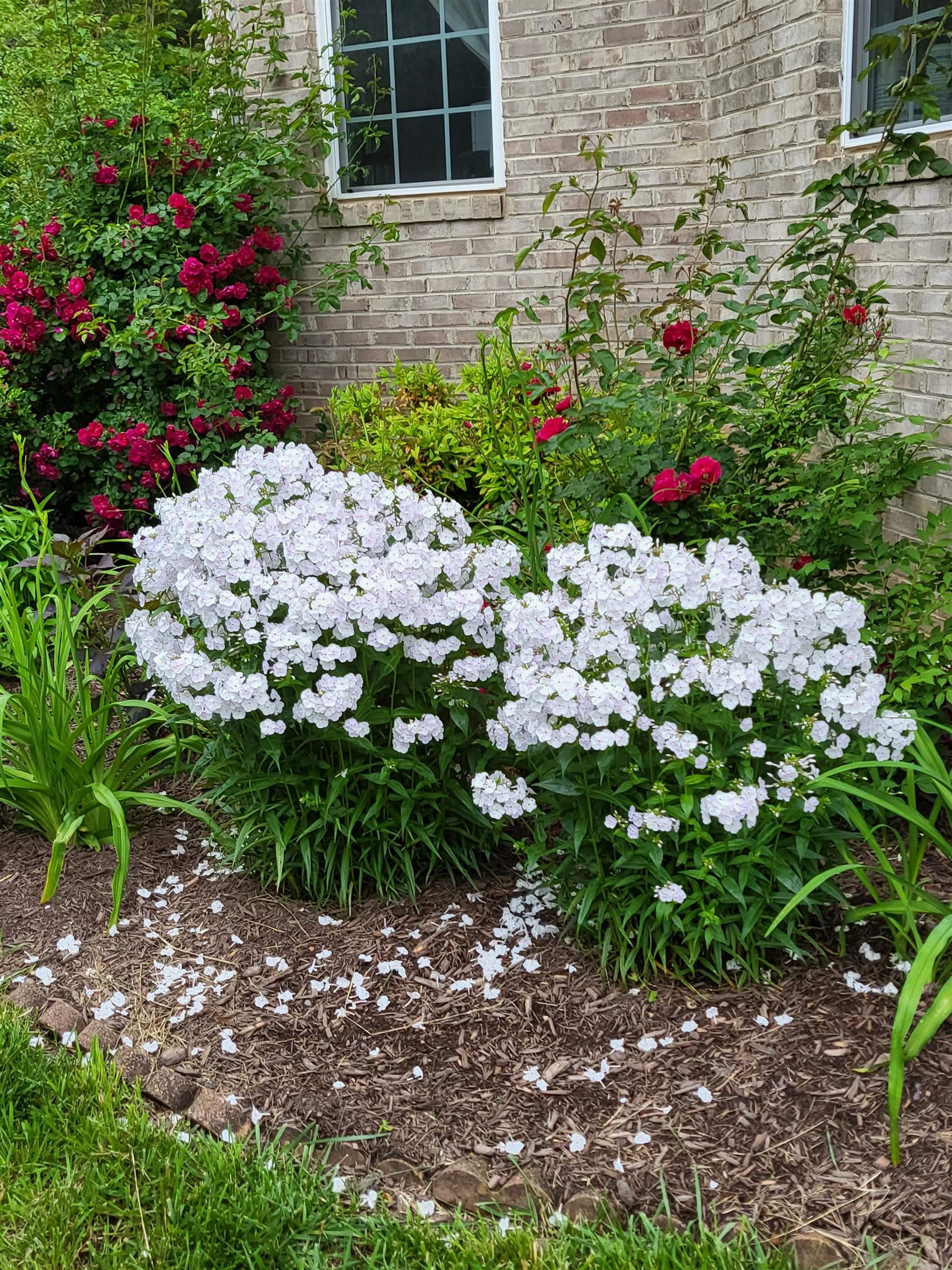 131 RURAL DR, MOUNT SOLON, Virginia 22843, 4 Bedrooms Bedrooms, ,3 BathroomsBathrooms,Residential,131 RURAL DR,675906 MLS # 675906