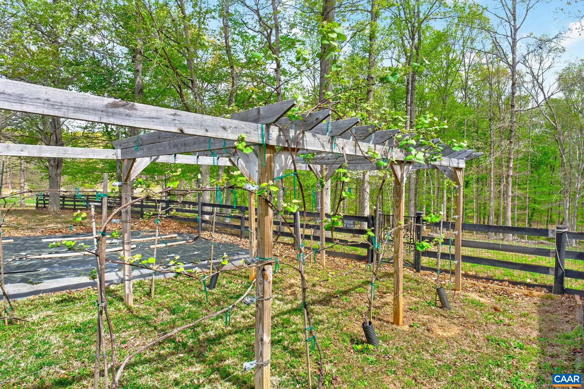 133 PINE FOREST LN, TROY, Virginia 22974, 3 Bedrooms Bedrooms, ,2 BathroomsBathrooms,Residential,133 PINE FOREST LN,675909 MLS # 675909