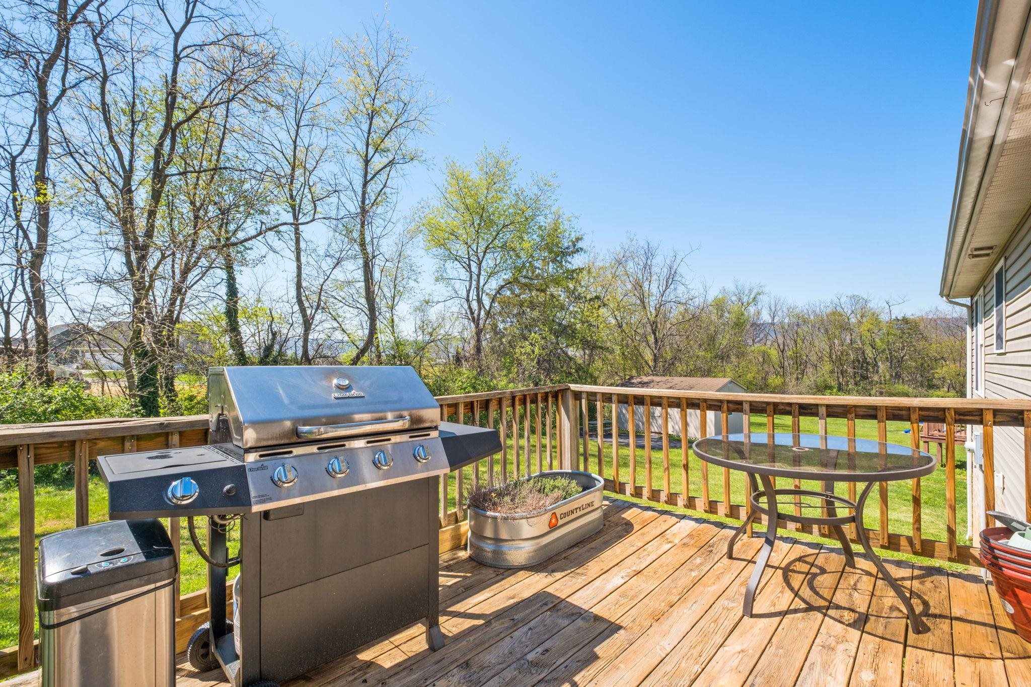 295 TANAGER LN, ELKTON, Virginia 22827, 4 Bedrooms Bedrooms, ,2 BathroomsBathrooms,Residential,295 TANAGER LN,675912 MLS # 675912