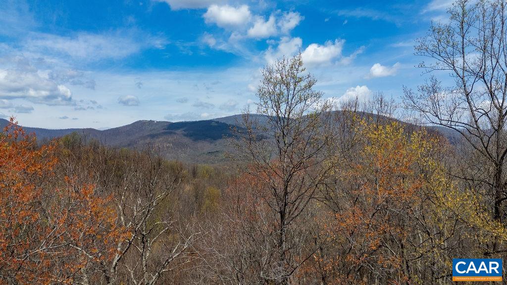472 HORSESHOE MOUNTAIN RD, ROSELAND, Virginia 22967, 4 Bedrooms Bedrooms, ,4 BathroomsBathrooms,Residential,472 HORSESHOE MOUNTAIN RD,675913 MLS # 675913