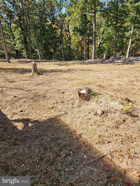 HILL CLIMB RD., STANLEY, Virginia 22851, ,Land,HILL CLIMB RD.,VAPA2006308 MLS # VAPA2006308