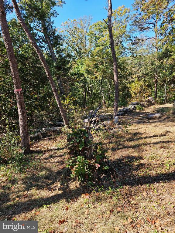 HILL CLIMB RD., STANLEY, Virginia 22851, ,Land,HILL CLIMB RD.,VAPA2006308 MLS # VAPA2006308