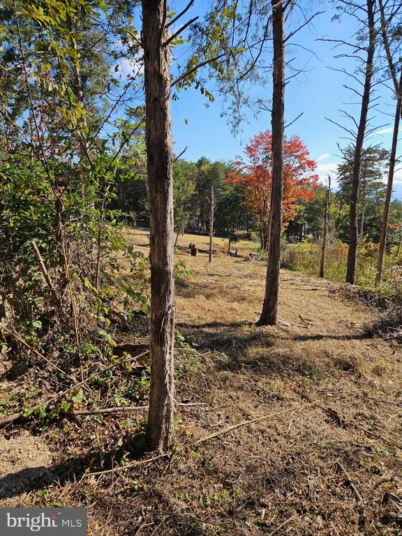 HILL CLIMB RD., STANLEY, Virginia 22851, ,Land,HILL CLIMB RD.,VAPA2006308 MLS # VAPA2006308