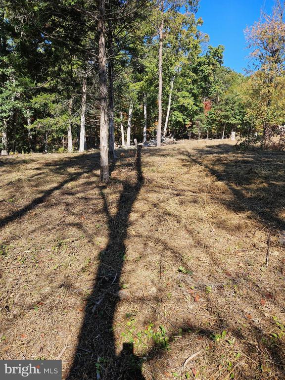 HILL CLIMB RD., STANLEY, Virginia 22851, ,Land,HILL CLIMB RD.,VAPA2006308 MLS # VAPA2006308