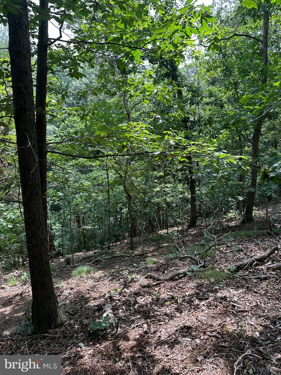 0 FOREST DR, STANLEY, Virginia 22851, ,Land,0 FOREST DR,VAPA2006292 MLS # VAPA2006292