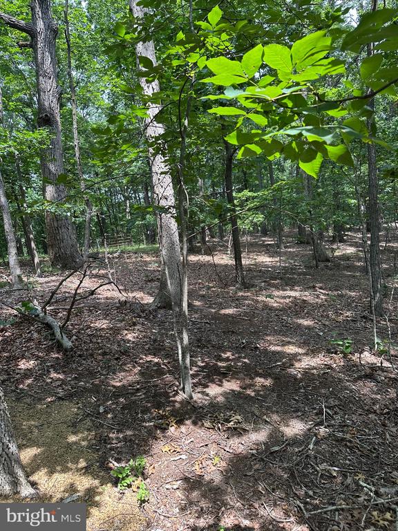 0 FOREST DR, STANLEY, Virginia 22851, ,Land,0 FOREST DR,VAPA2006292 MLS # VAPA2006292