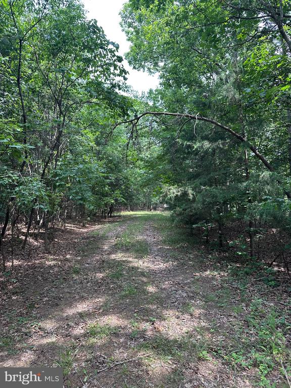 0 FOREST DR, STANLEY, Virginia 22851, ,Land,0 FOREST DR,VAPA2006292 MLS # VAPA2006292