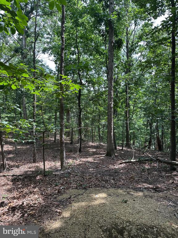 0 FOREST DR, STANLEY, Virginia 22851, ,Land,0 FOREST DR,VAPA2006292 MLS # VAPA2006292