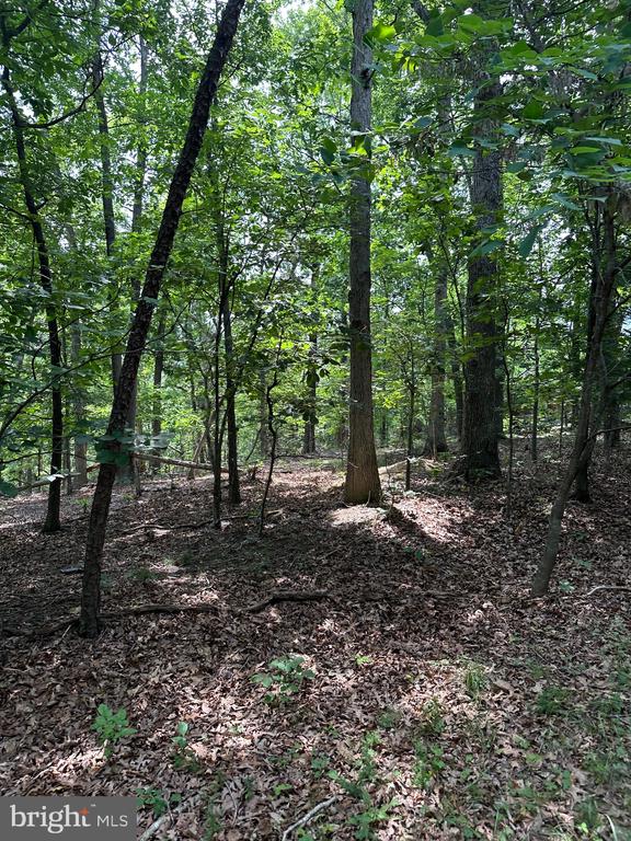 0 FOREST DR, STANLEY, Virginia 22851, ,Land,0 FOREST DR,VAPA2006292 MLS # VAPA2006292
