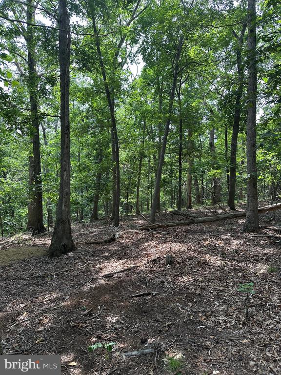 0 FOREST DR, STANLEY, Virginia 22851, ,Land,0 FOREST DR,VAPA2006292 MLS # VAPA2006292