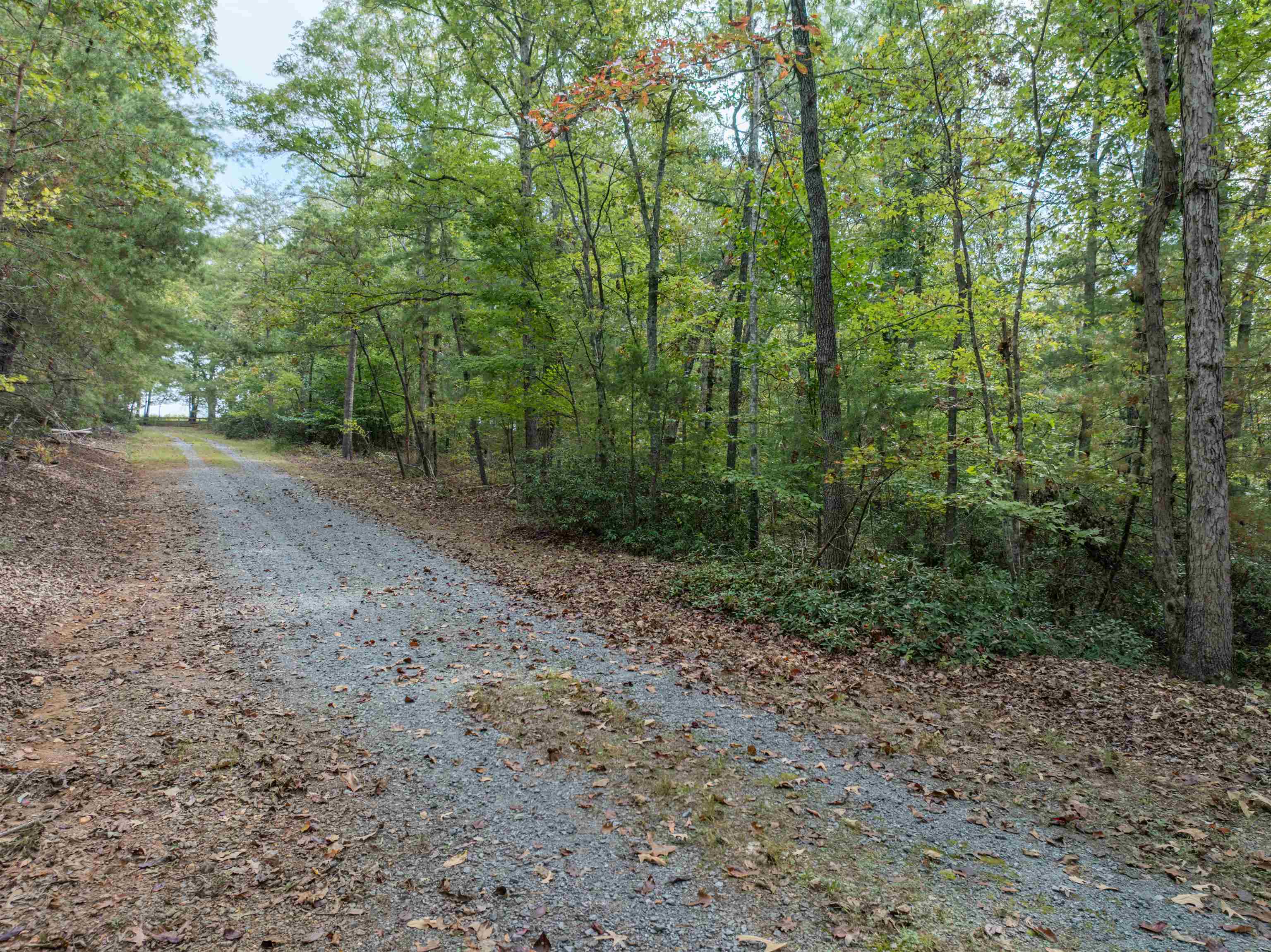 TBD JONES OVERLOOK, HOWARDSVILLE, Virginia 24562, ,Farm,TBD JONES OVERLOOK,675940 MLS # 675940