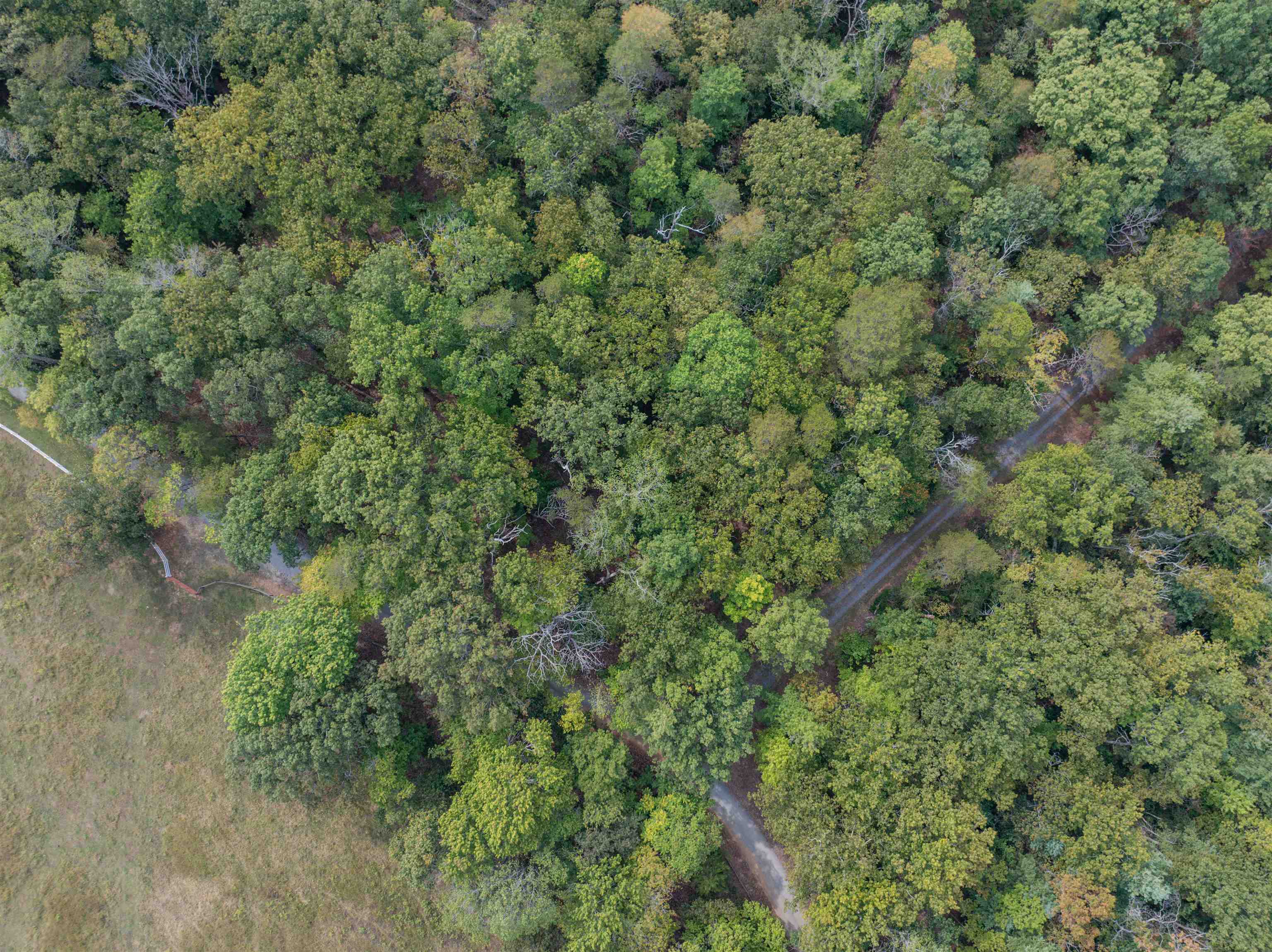 TBD JONES OVERLOOK, HOWARDSVILLE, Virginia 24562, ,Farm,TBD JONES OVERLOOK,675940 MLS # 675940