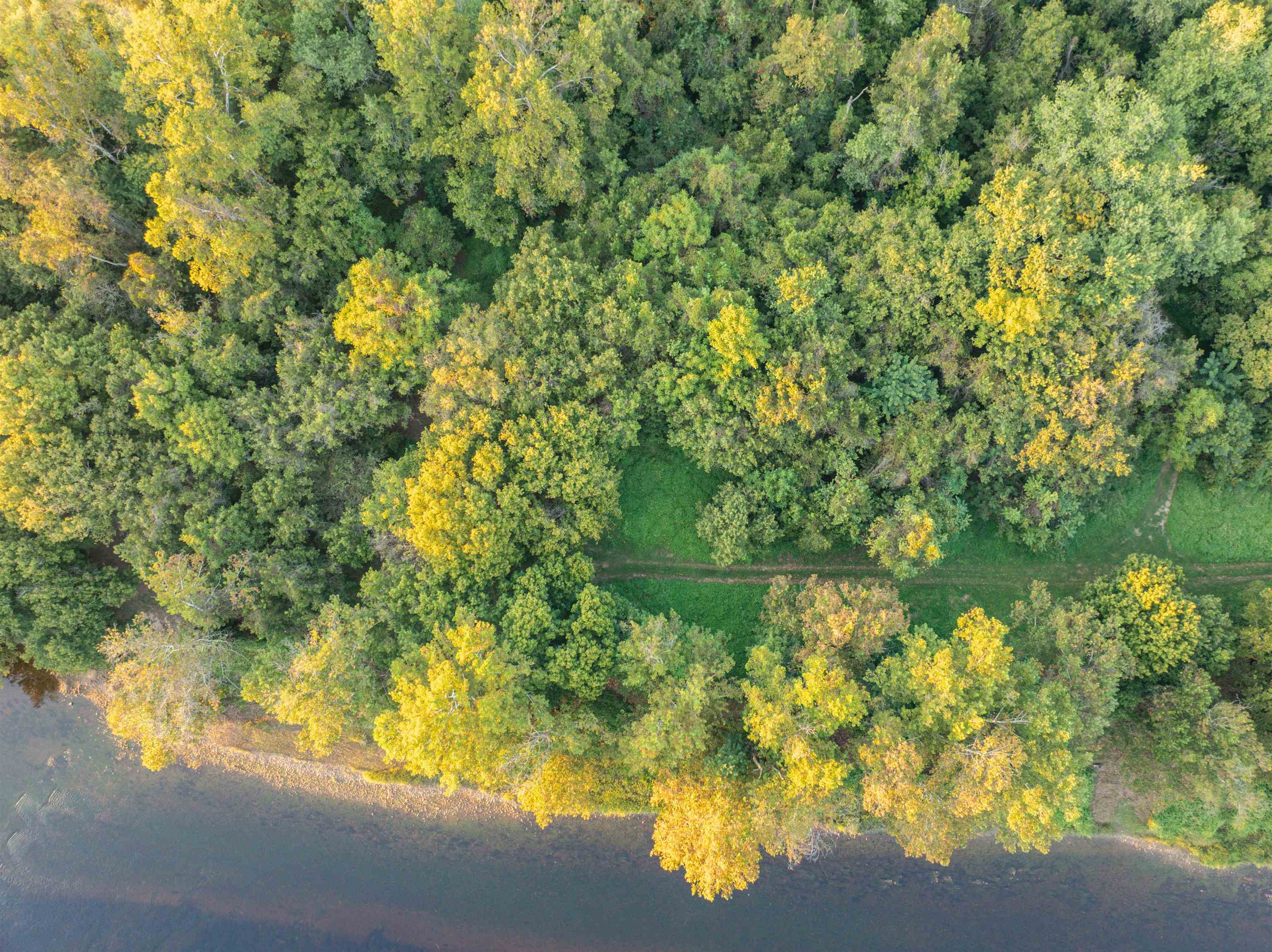 TBD JONES OVERLOOK, HOWARDSVILLE, Virginia 24562, ,Farm,TBD JONES OVERLOOK,675940 MLS # 675940