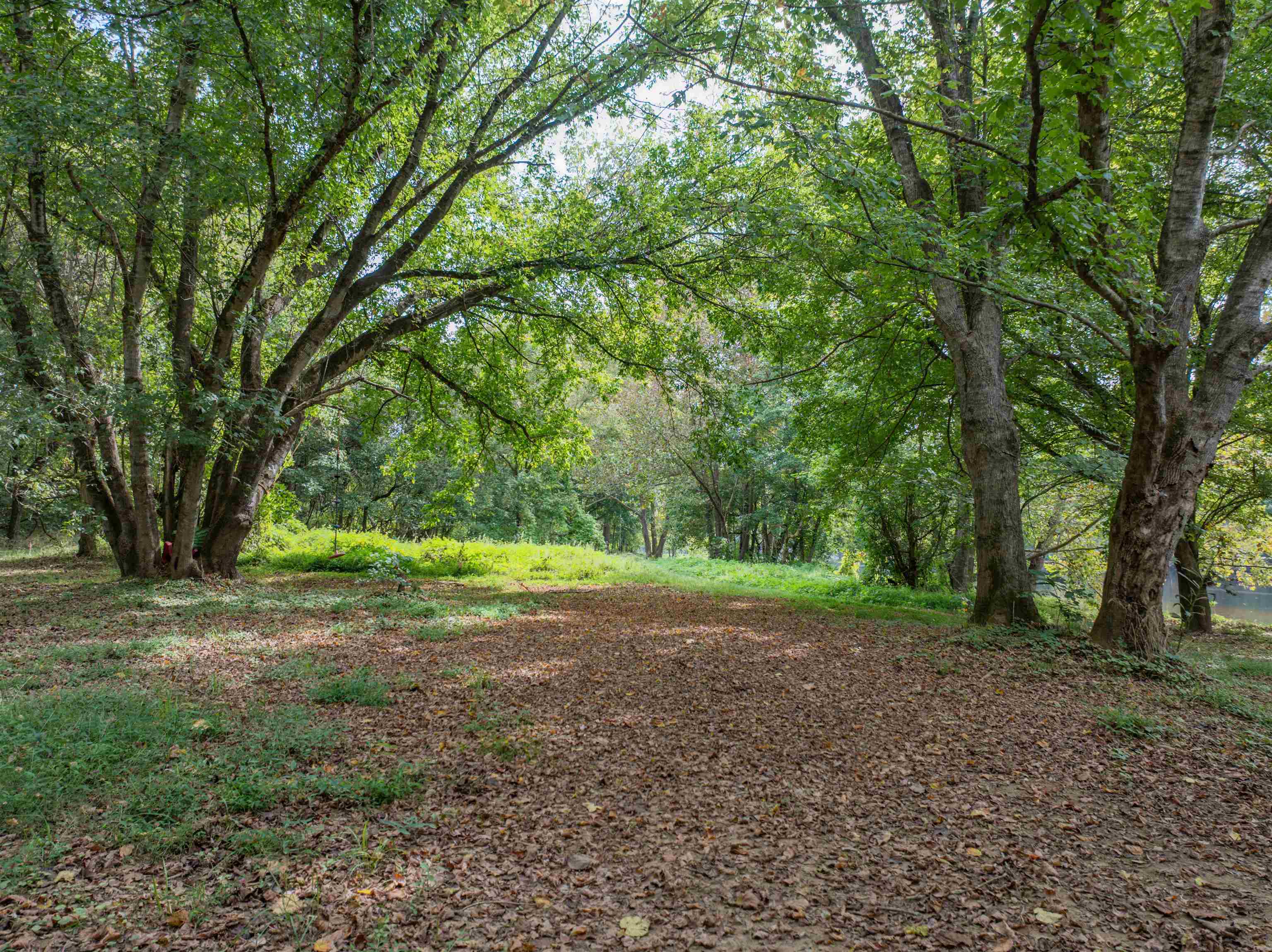 TBD JONES OVERLOOK, HOWARDSVILLE, Virginia 24562, ,Farm,TBD JONES OVERLOOK,675940 MLS # 675940