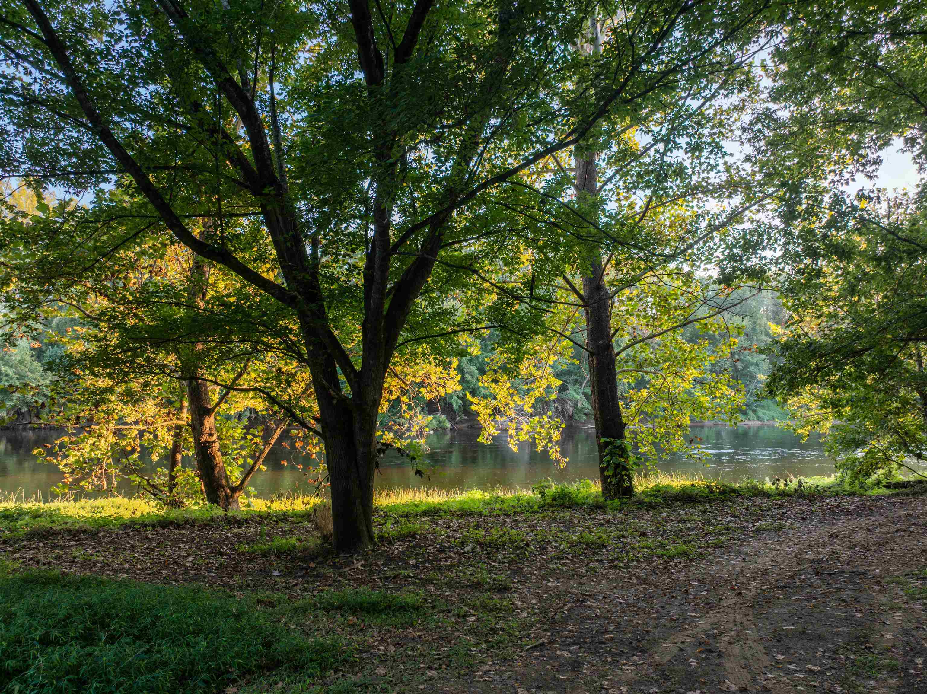 TBD JONES OVERLOOK, HOWARDSVILLE, Virginia 24562, ,Farm,TBD JONES OVERLOOK,675940 MLS # 675940