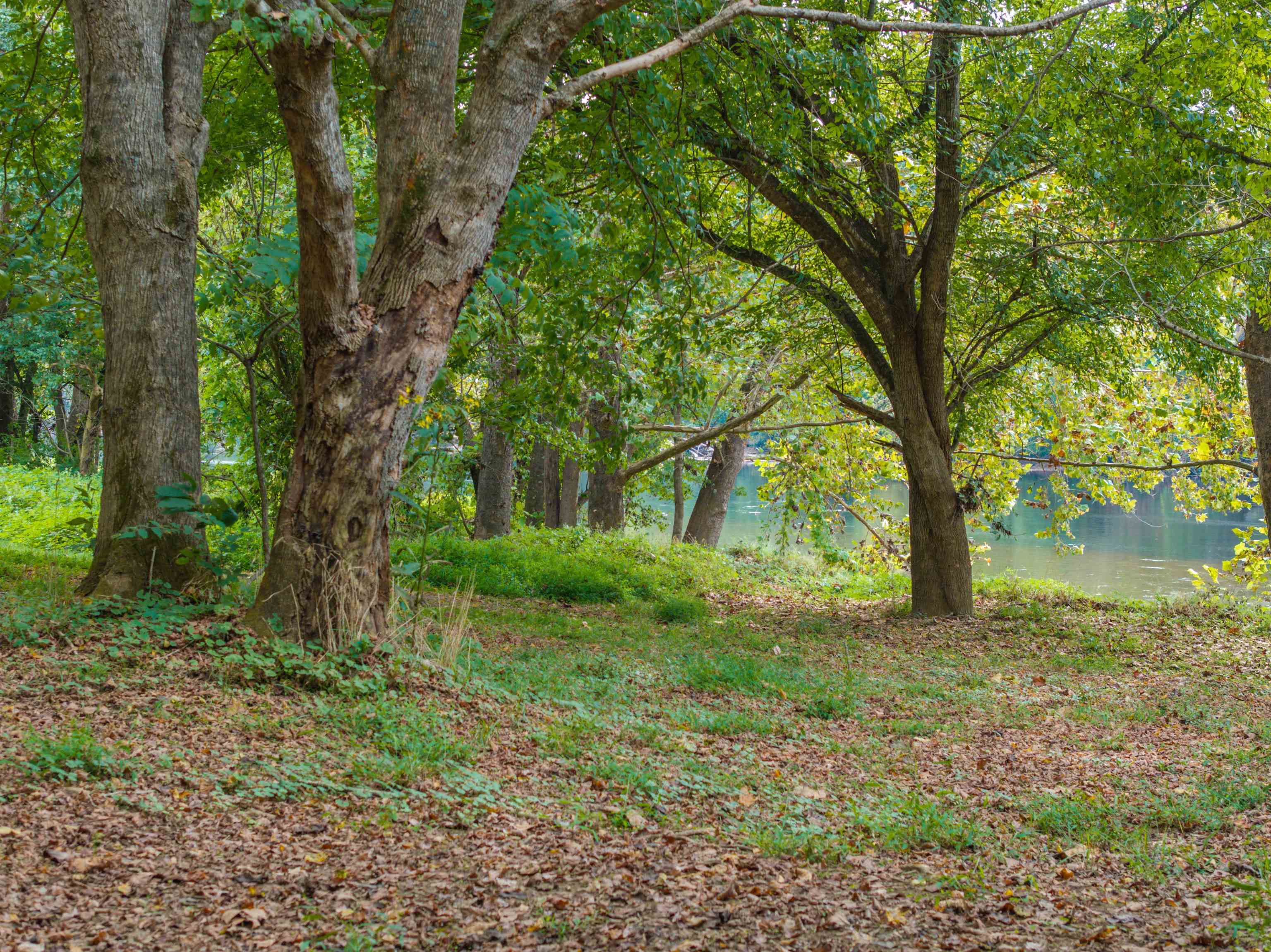 TBD JONES OVERLOOK, HOWARDSVILLE, Virginia 24562, ,Farm,TBD JONES OVERLOOK,675940 MLS # 675940