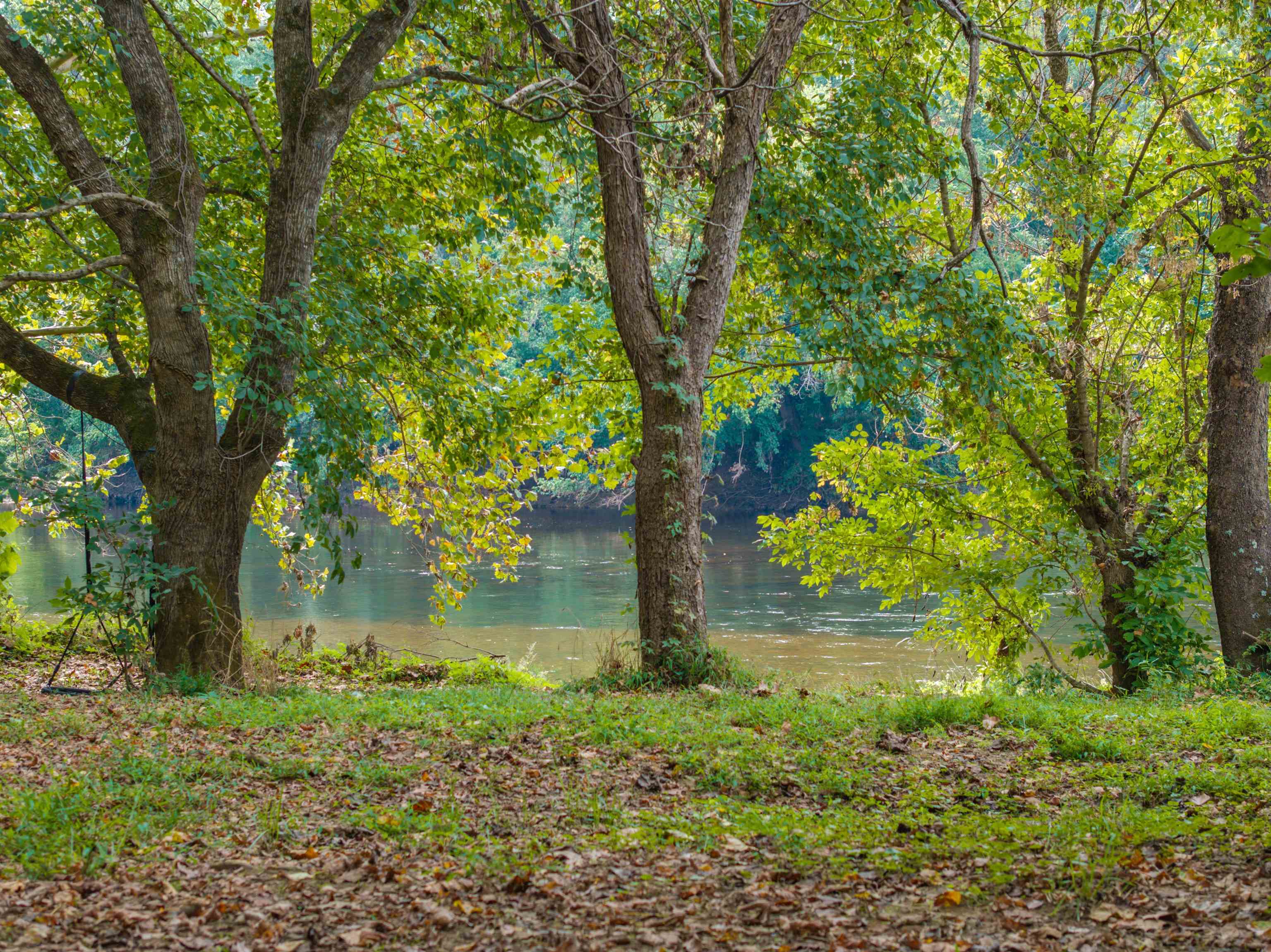 TBD JONES OVERLOOK, HOWARDSVILLE, Virginia 24562, ,Farm,TBD JONES OVERLOOK,675940 MLS # 675940