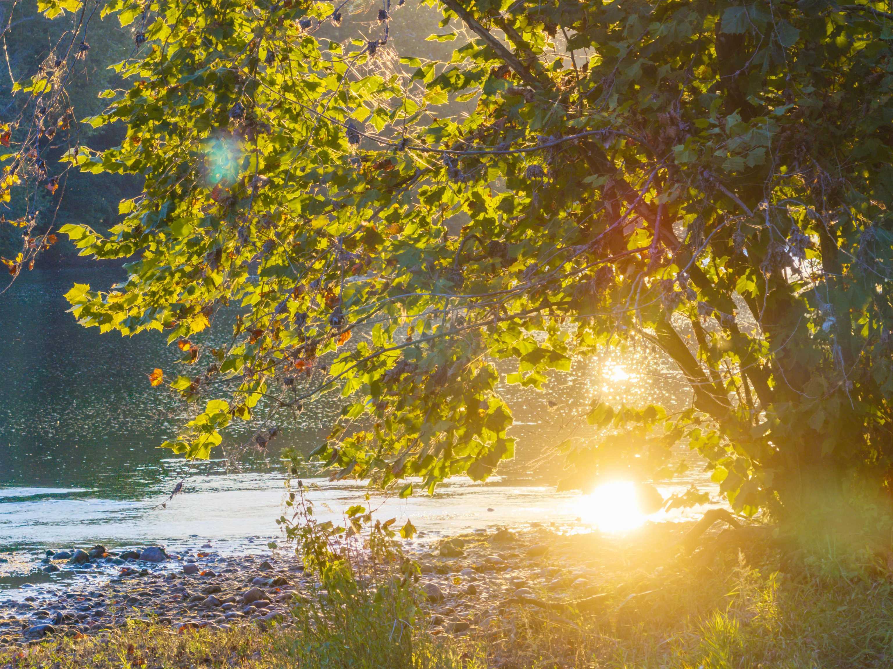 TBD JONES OVERLOOK, HOWARDSVILLE, Virginia 24562, ,Farm,TBD JONES OVERLOOK,675940 MLS # 675940