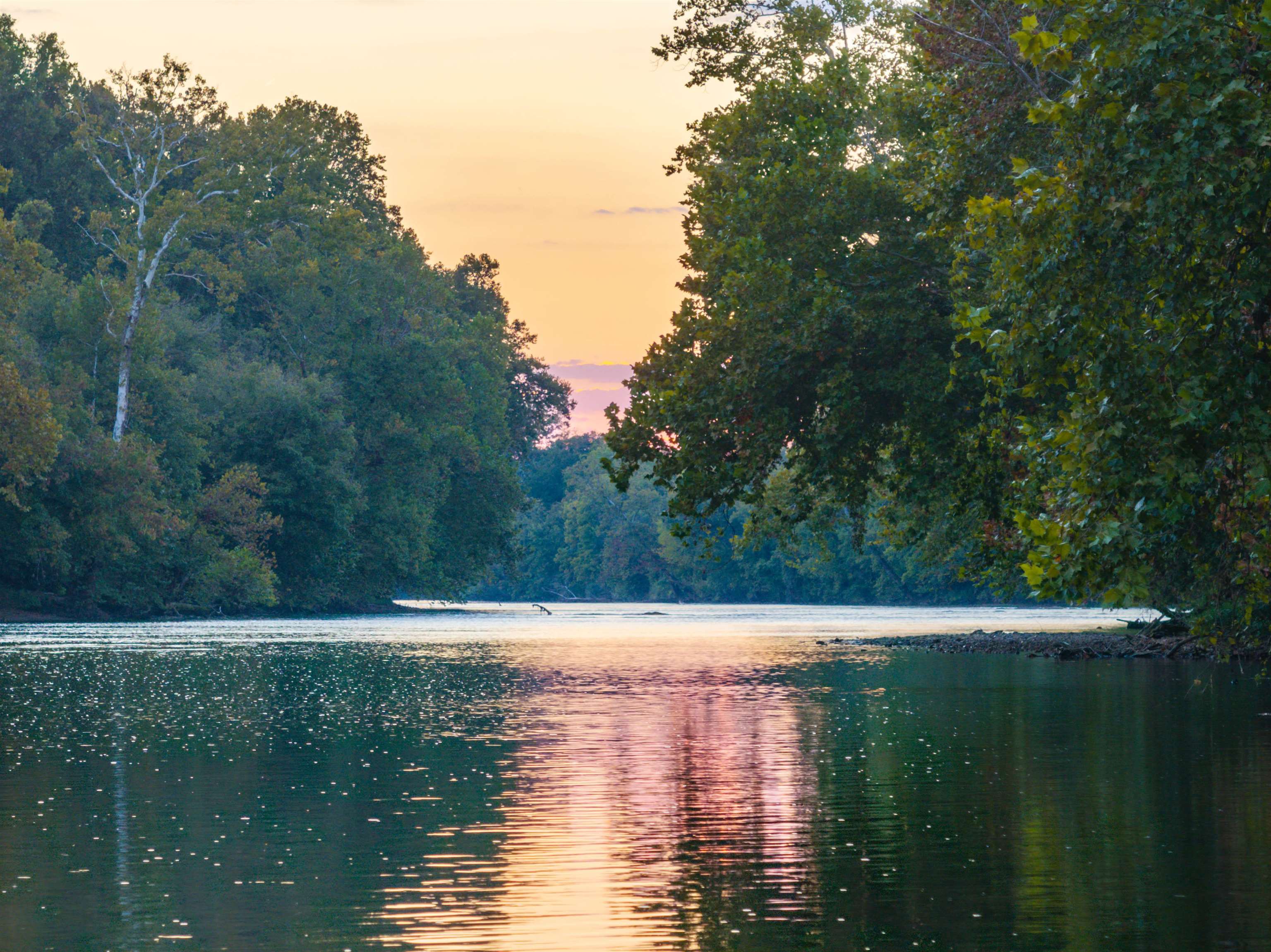 TBD JONES OVERLOOK, HOWARDSVILLE, Virginia 24562, ,Farm,TBD JONES OVERLOOK,675940 MLS # 675940