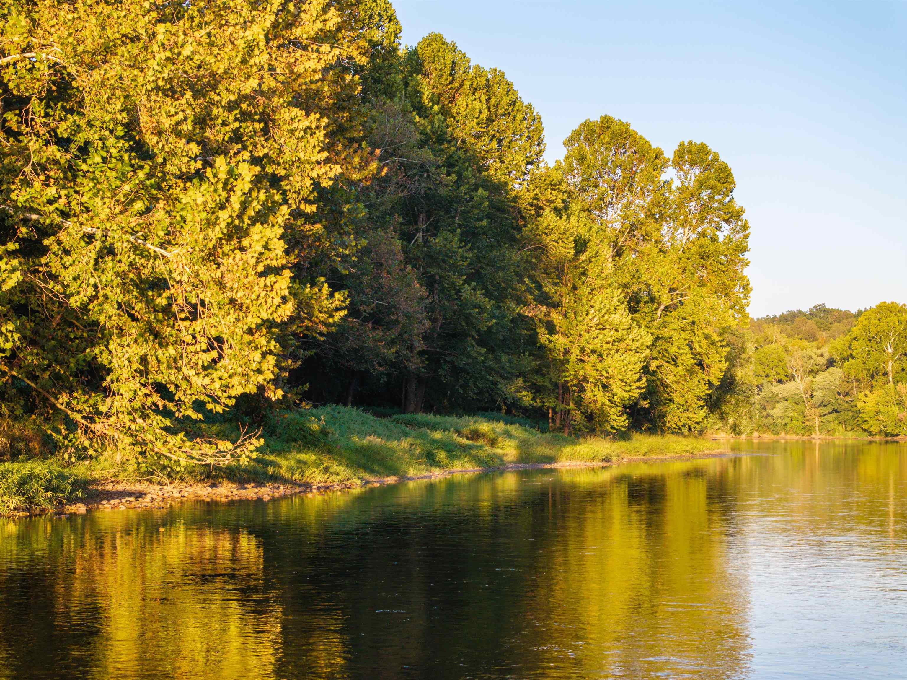 TBD JONES OVERLOOK, HOWARDSVILLE, Virginia 24562, ,Farm,TBD JONES OVERLOOK,675940 MLS # 675940