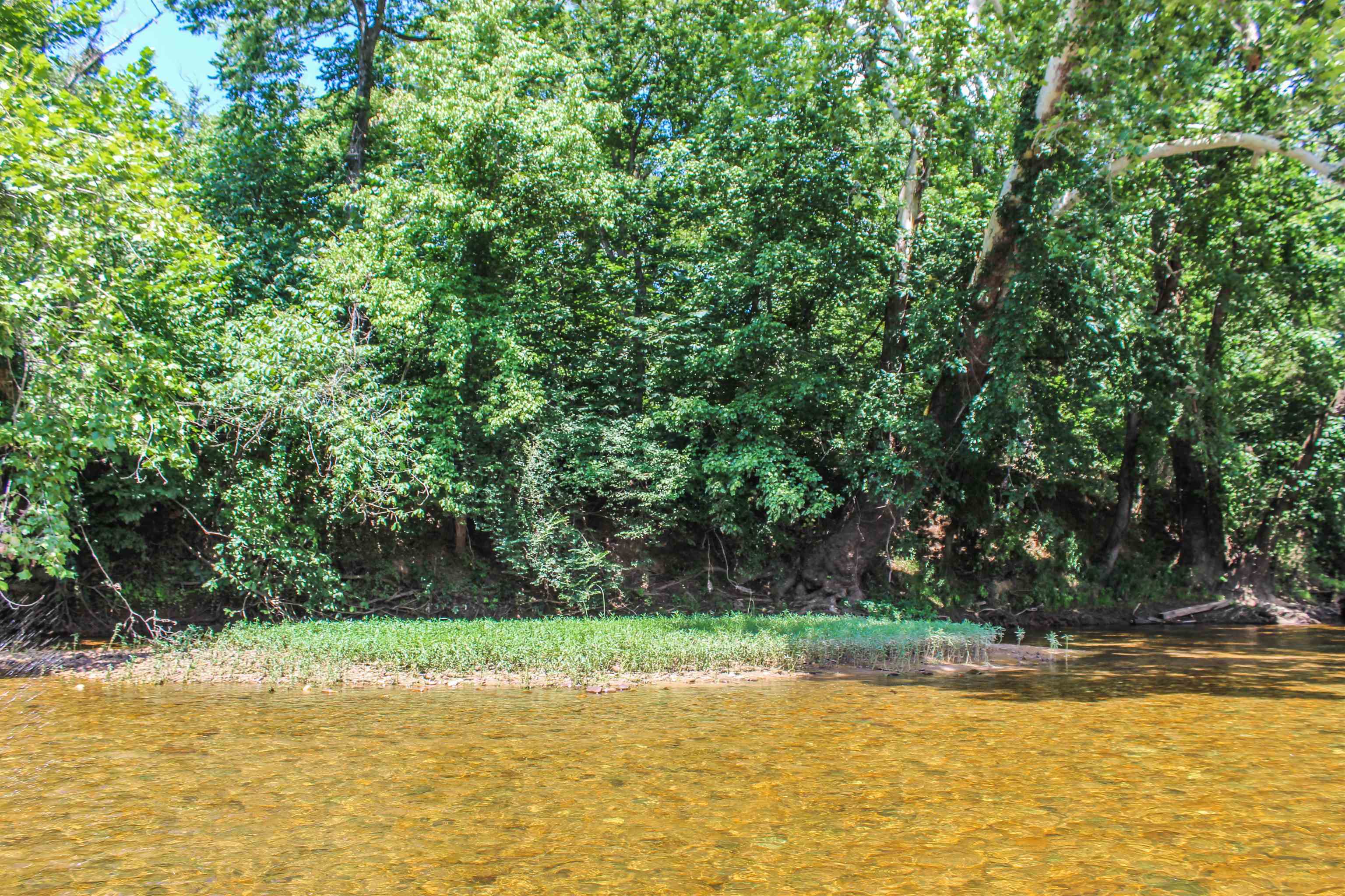 TBD JONES OVERLOOK, HOWARDSVILLE, Virginia 24562, ,Farm,TBD JONES OVERLOOK,675940 MLS # 675940