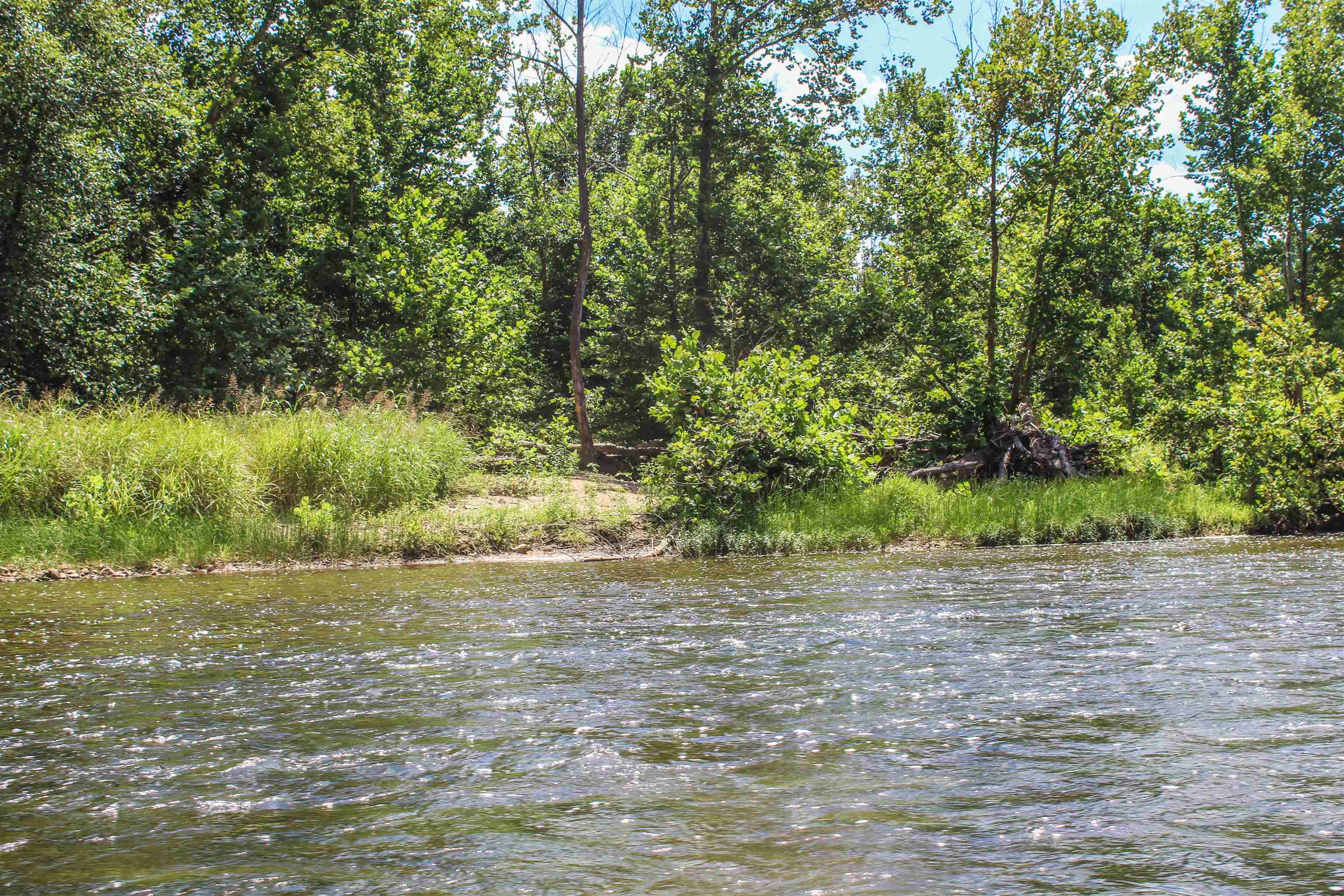 TBD JONES OVERLOOK, HOWARDSVILLE, Virginia 24562, ,Farm,TBD JONES OVERLOOK,675940 MLS # 675940