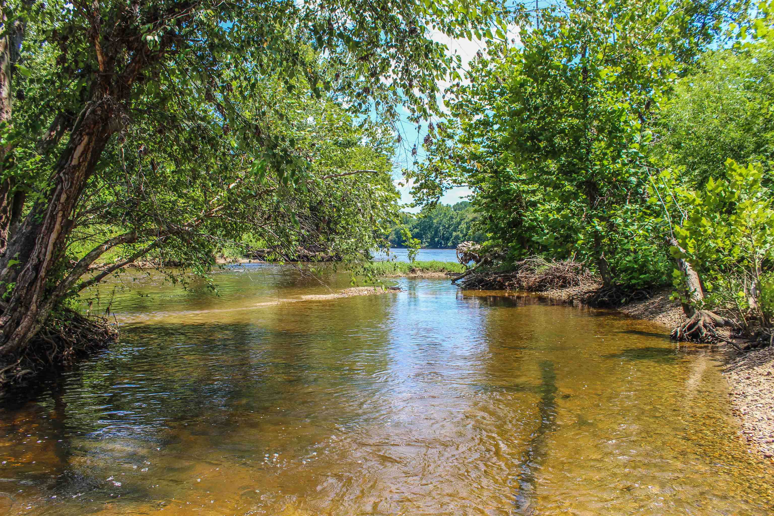 TBD JONES OVERLOOK, HOWARDSVILLE, Virginia 24562, ,Farm,TBD JONES OVERLOOK,675940 MLS # 675940