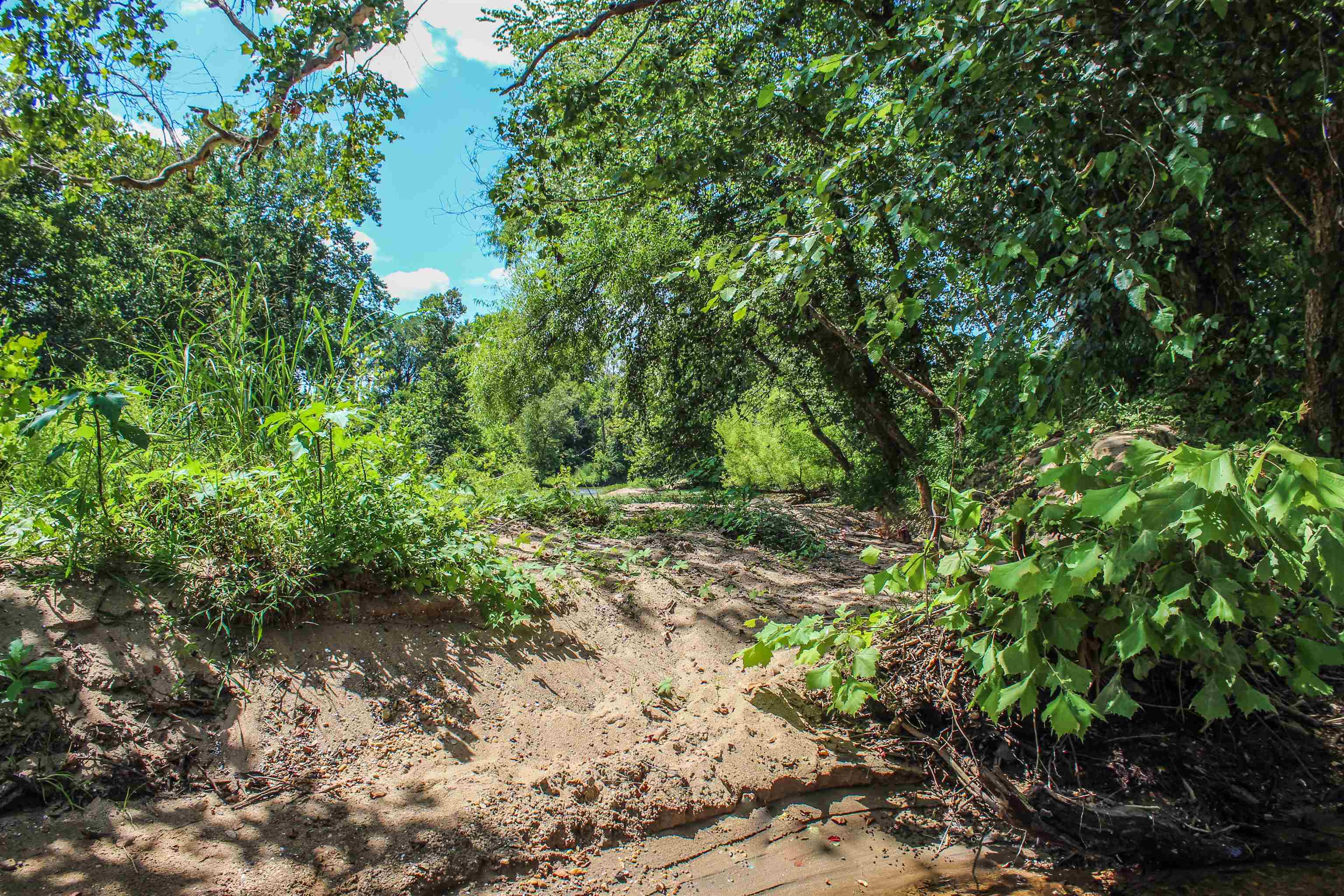 TBD JONES OVERLOOK, HOWARDSVILLE, Virginia 24562, ,Farm,TBD JONES OVERLOOK,675940 MLS # 675940