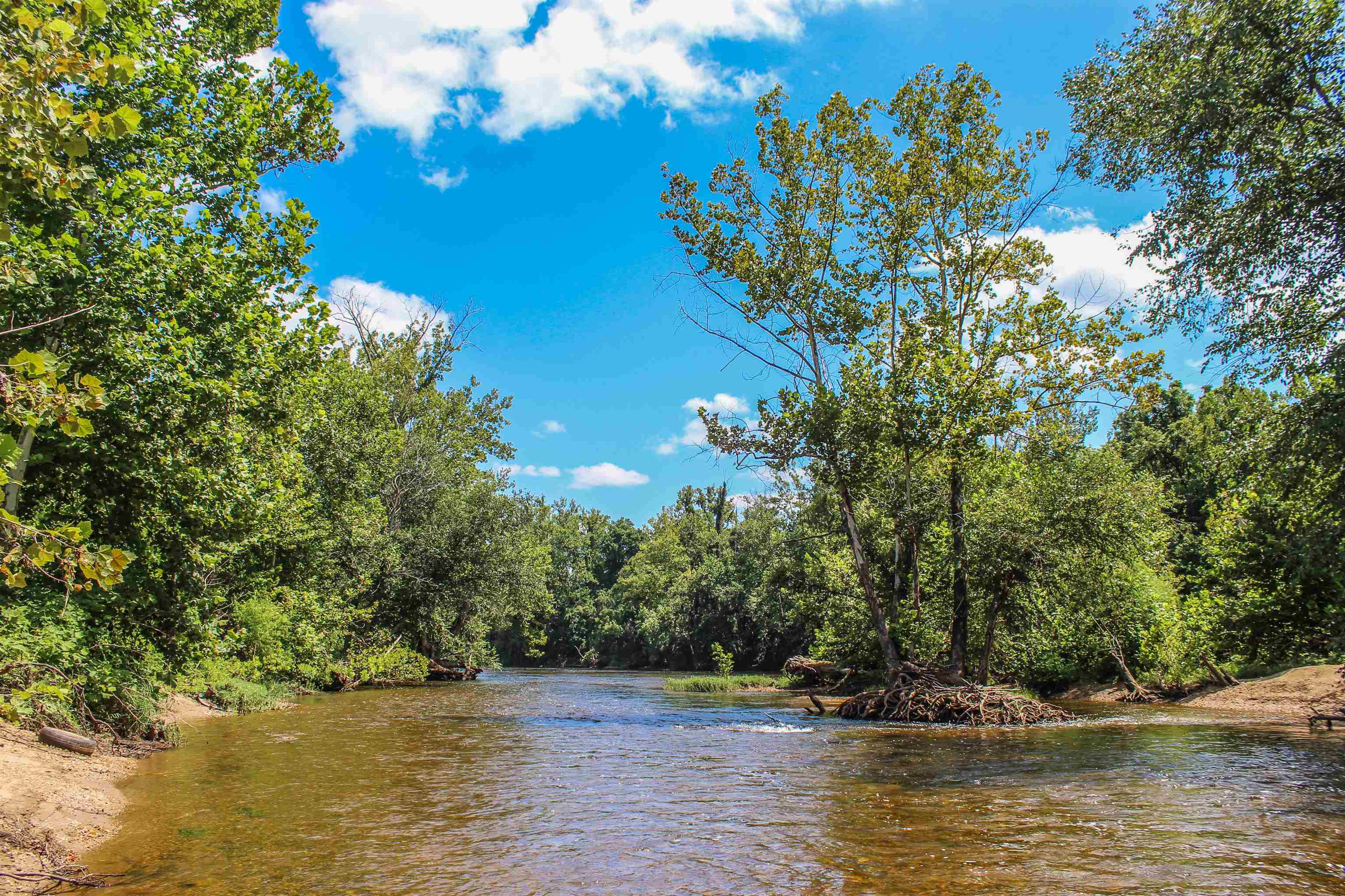 TBD JONES OVERLOOK, HOWARDSVILLE, Virginia 24562, ,Farm,TBD JONES OVERLOOK,675940 MLS # 675940