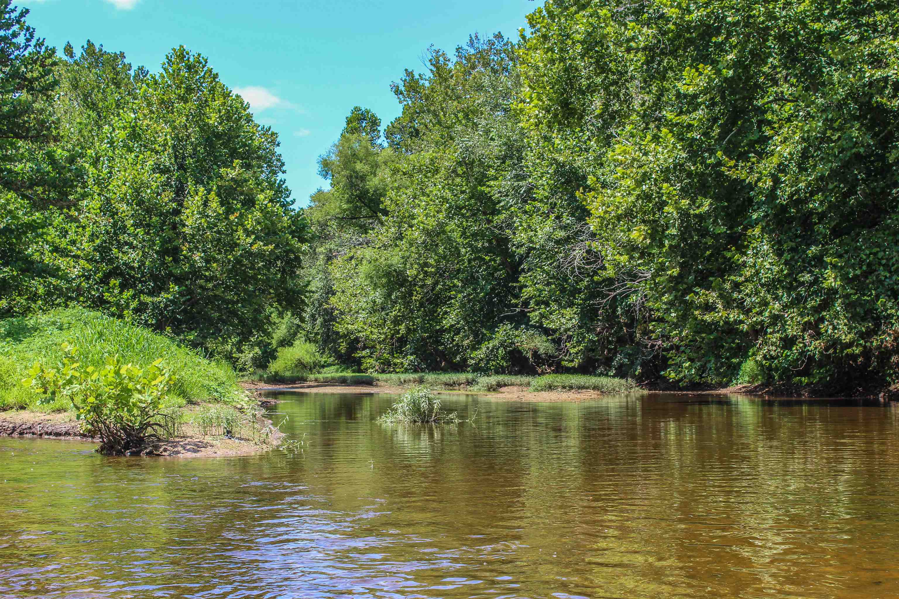 TBD JONES OVERLOOK, HOWARDSVILLE, Virginia 24562, ,Farm,TBD JONES OVERLOOK,675940 MLS # 675940