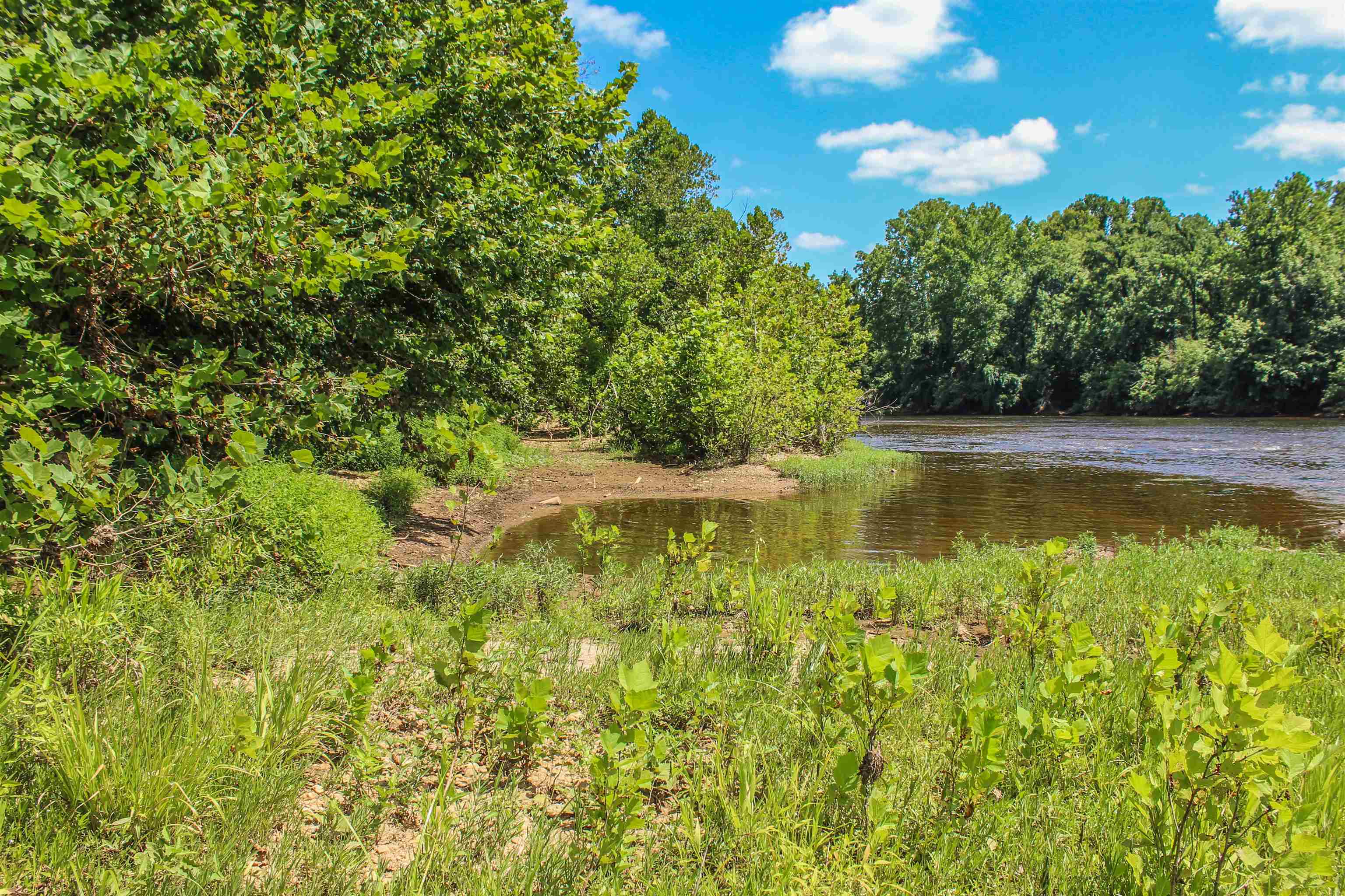 TBD JONES OVERLOOK, HOWARDSVILLE, Virginia 24562, ,Farm,TBD JONES OVERLOOK,675940 MLS # 675940