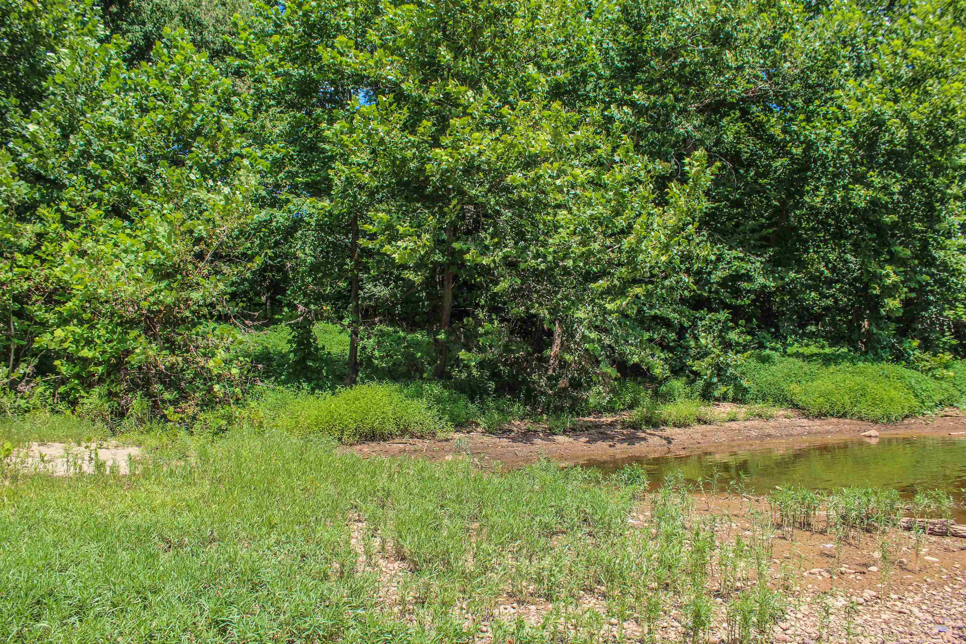 TBD JONES OVERLOOK, HOWARDSVILLE, Virginia 24562, ,Farm,TBD JONES OVERLOOK,675940 MLS # 675940