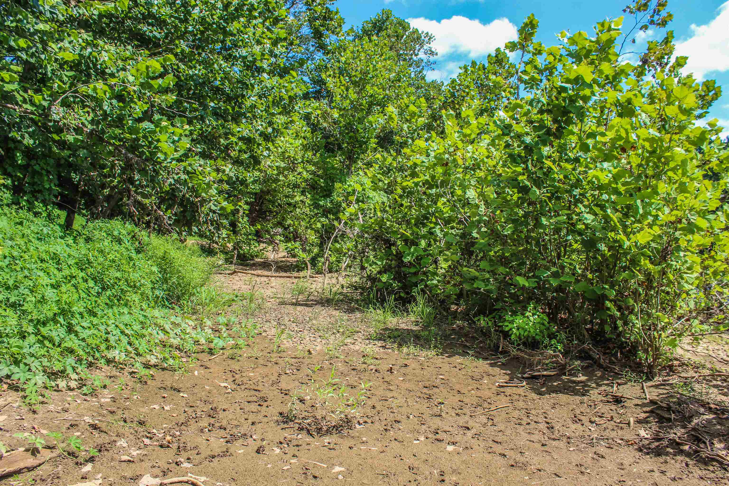 TBD JONES OVERLOOK, HOWARDSVILLE, Virginia 24562, ,Farm,TBD JONES OVERLOOK,675940 MLS # 675940