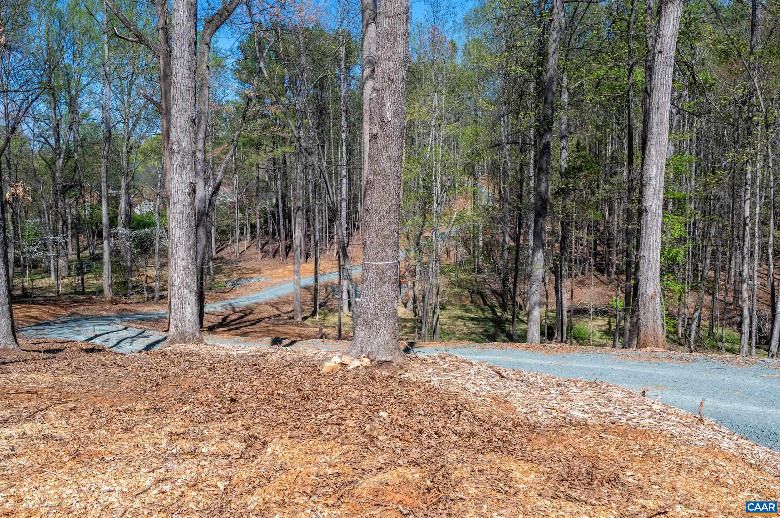 TBD GARTH GATE LN, CHARLOTTESVILLE, Virginia 22901, ,Land,TBD GARTH GATE LN,675944 MLS # 675944