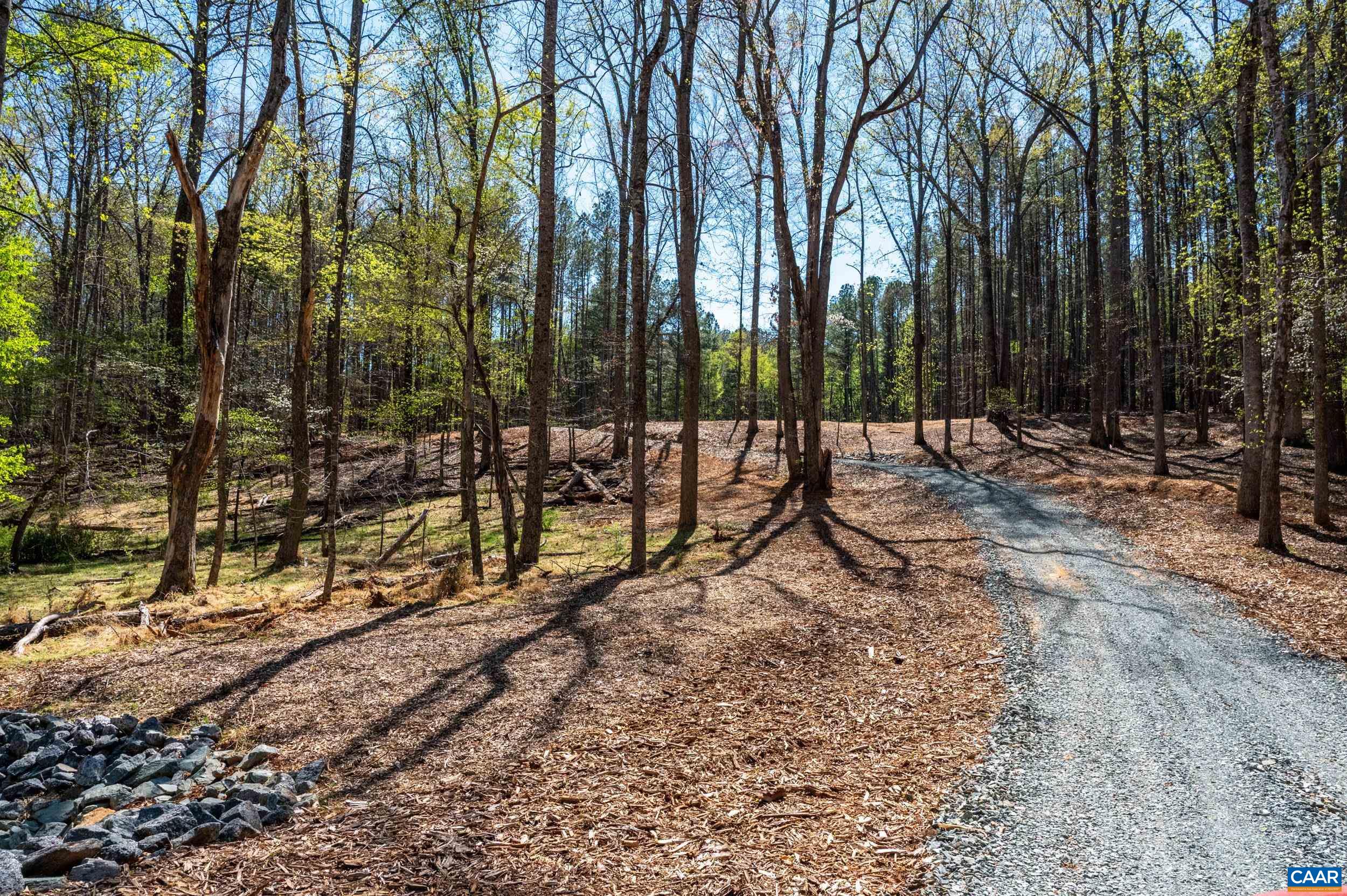 TBD GARTH GATE LN, CHARLOTTESVILLE, Virginia 22901, ,Land,TBD GARTH GATE LN,675944 MLS # 675944