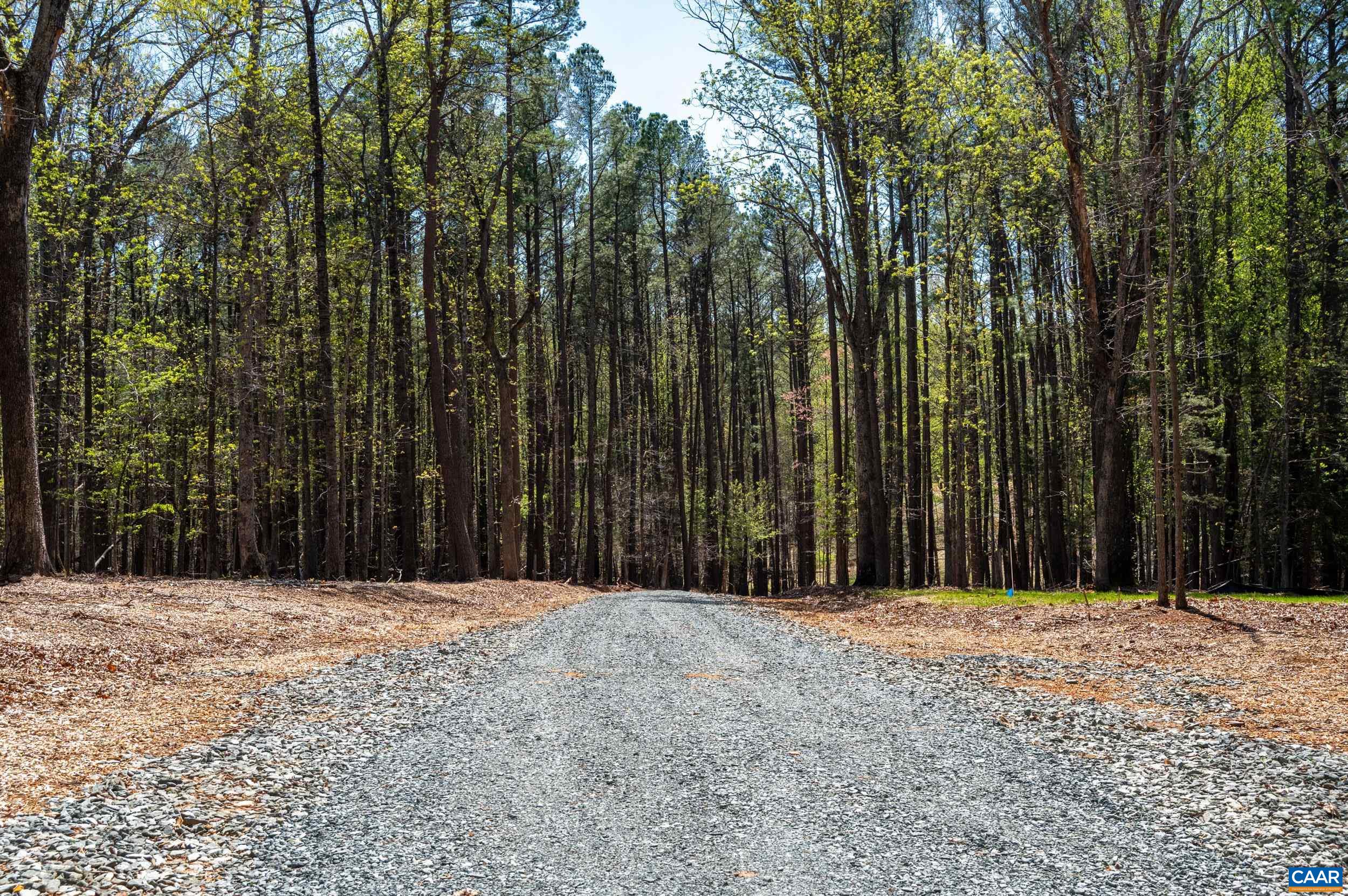 TBD GARTH GATE LN, CHARLOTTESVILLE, Virginia 22901, ,Land,TBD GARTH GATE LN,675944 MLS # 675944