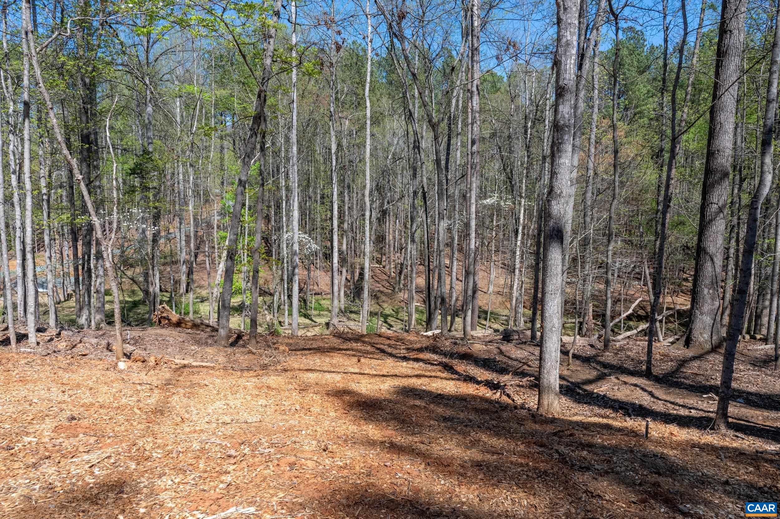 TBD GARTH GATE LN, CHARLOTTESVILLE, Virginia 22901, ,Land,TBD GARTH GATE LN,675944 MLS # 675944