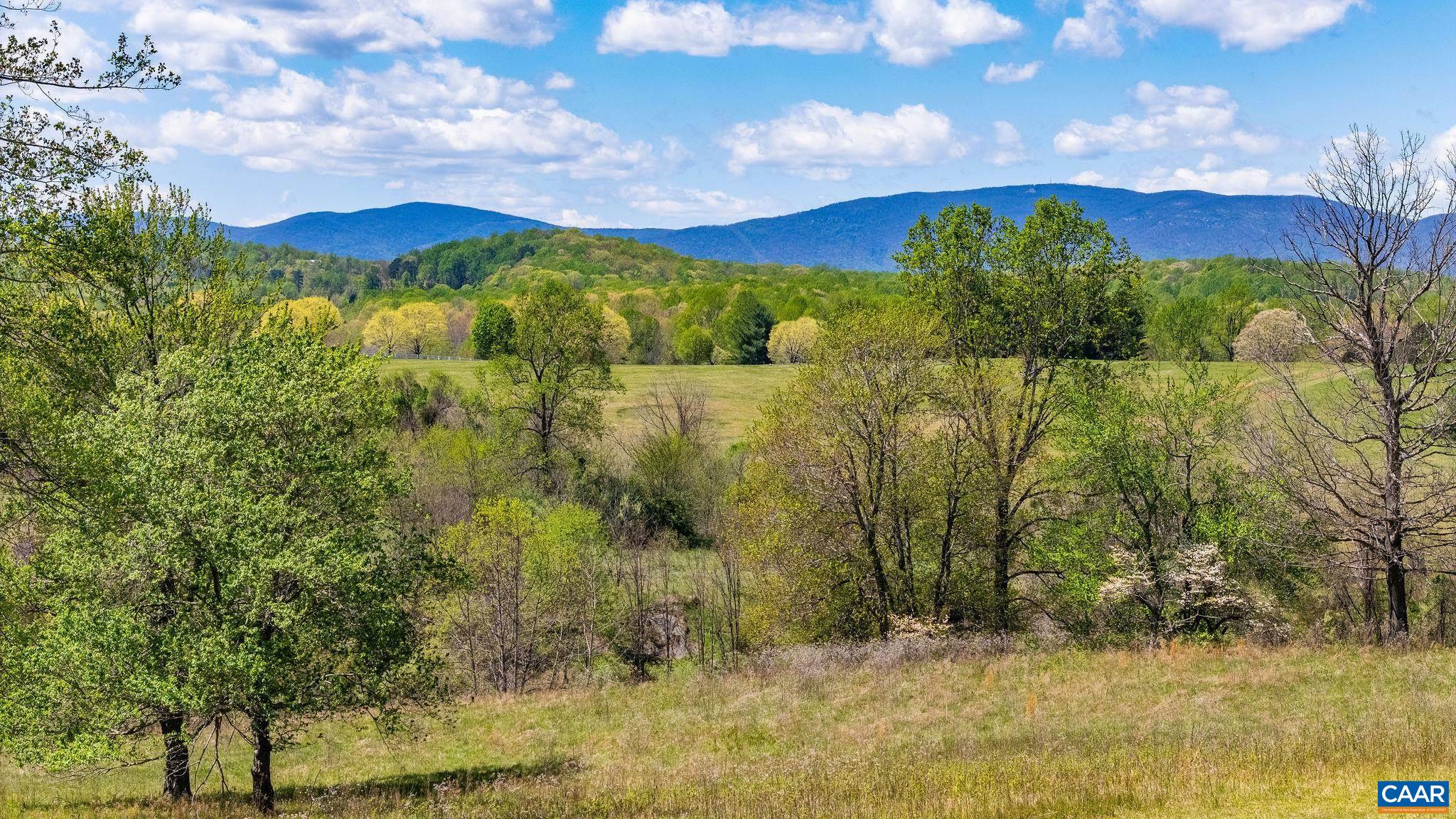 0 BLOOMFIELD RD, CHARLOTTESVILLE, Virginia 22903, ,Land,0 BLOOMFIELD RD,675949 MLS # 675949