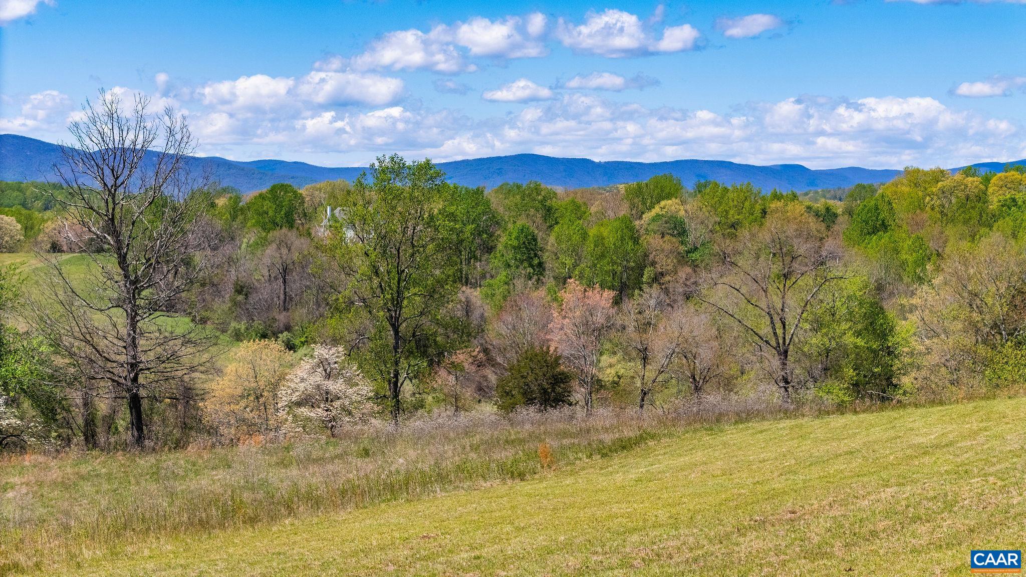 0 BLOOMFIELD RD, CHARLOTTESVILLE, Virginia 22903, ,Land,0 BLOOMFIELD RD,675949 MLS # 675949