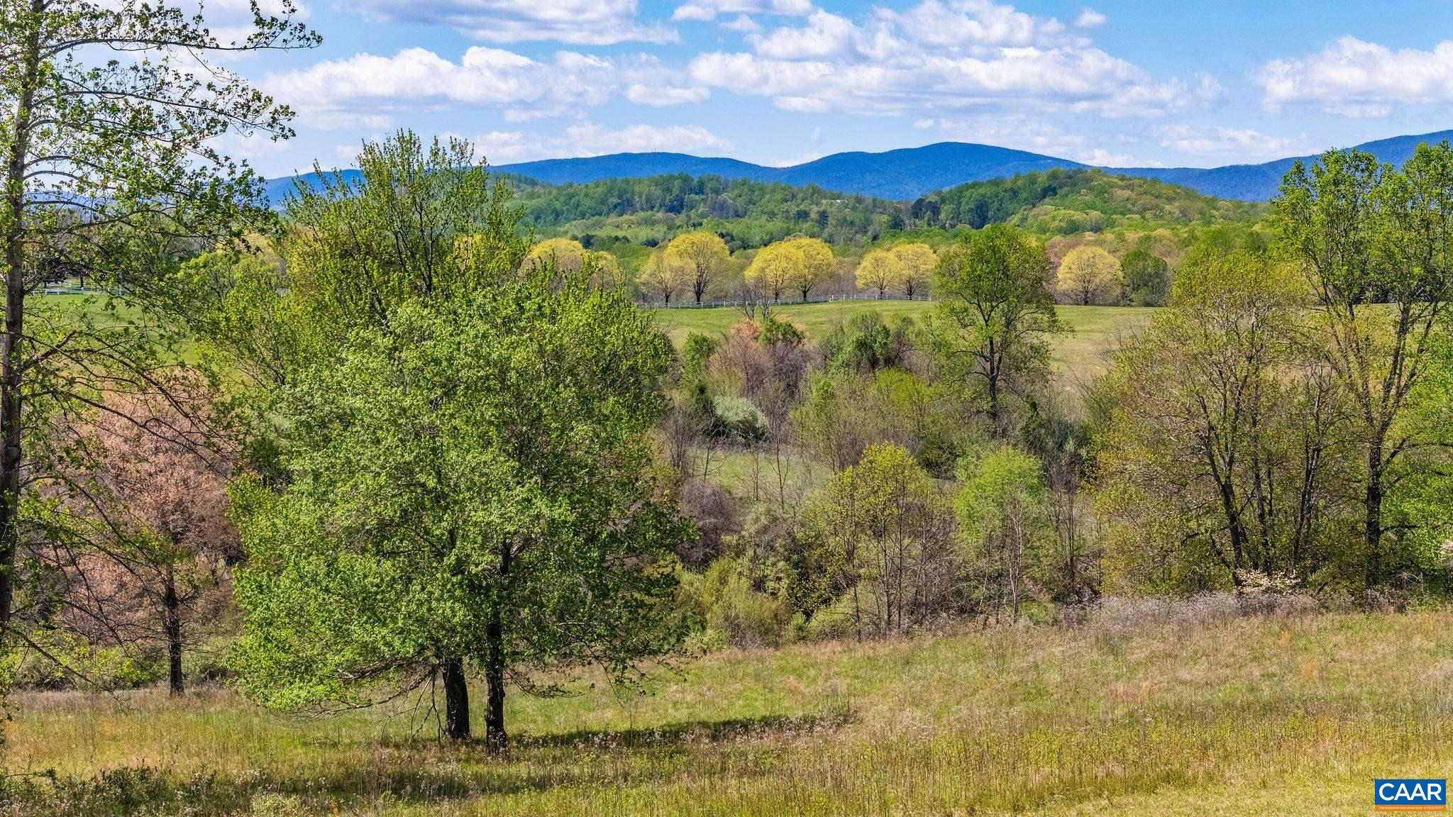 0 BLOOMFIELD RD, CHARLOTTESVILLE, Virginia 22903, ,Land,0 BLOOMFIELD RD,675949 MLS # 675949