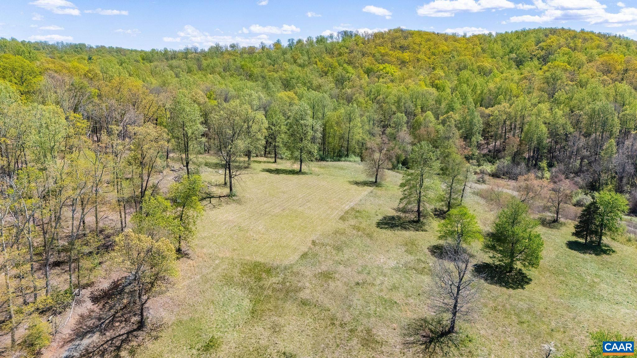 0 BLOOMFIELD RD, CHARLOTTESVILLE, Virginia 22903, ,Land,0 BLOOMFIELD RD,675949 MLS # 675949