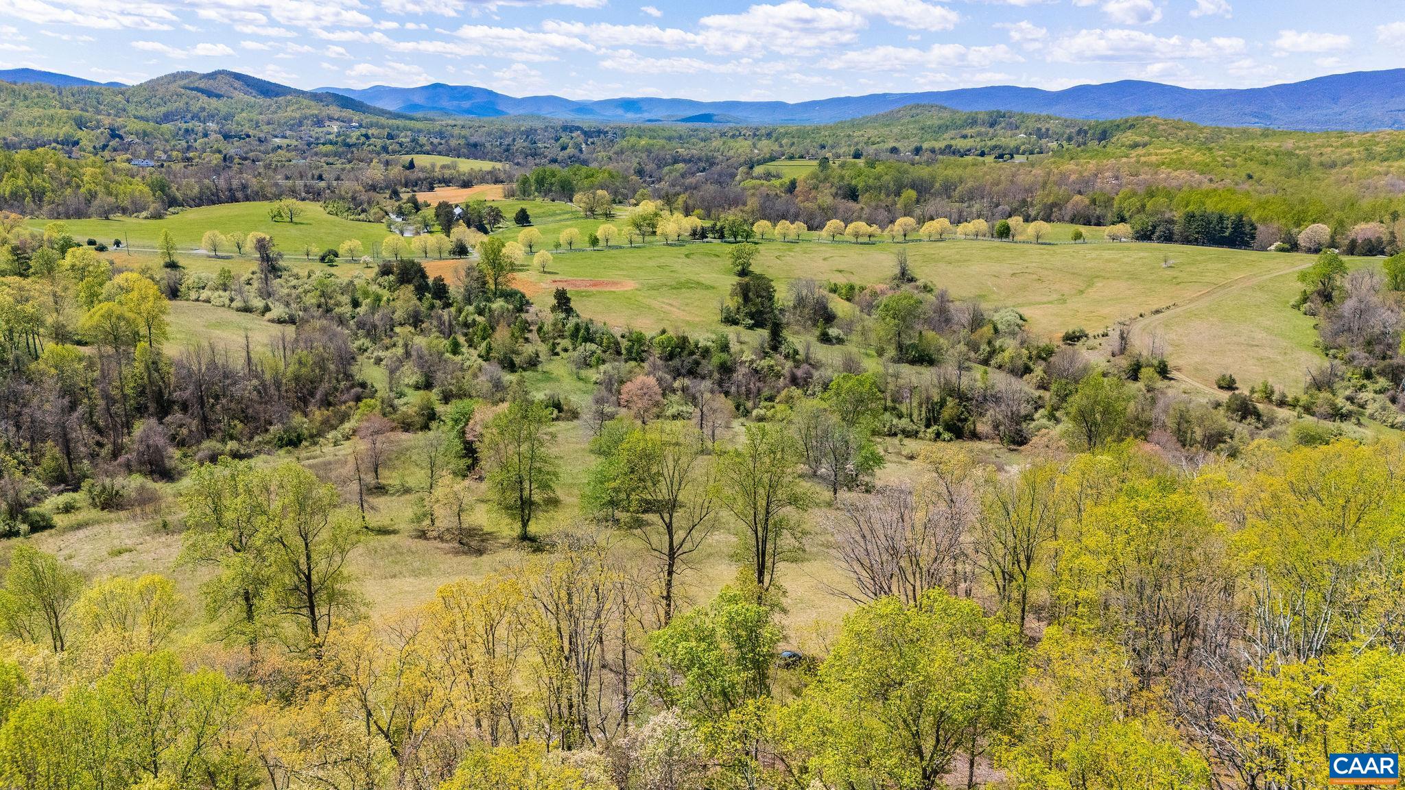 0 BLOOMFIELD RD, CHARLOTTESVILLE, Virginia 22903, ,Land,0 BLOOMFIELD RD,675949 MLS # 675949