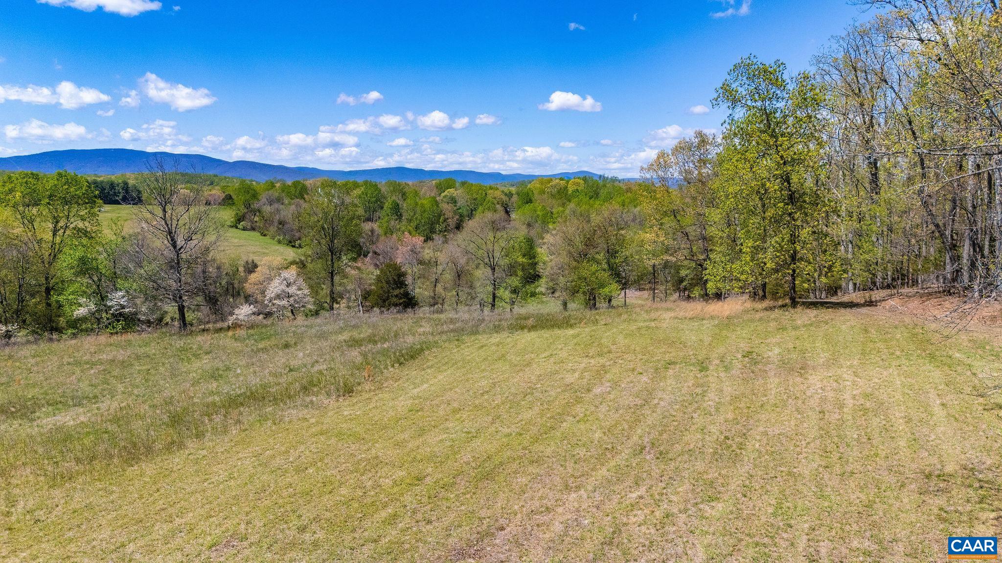 0 BLOOMFIELD RD, CHARLOTTESVILLE, Virginia 22903, ,Land,0 BLOOMFIELD RD,675949 MLS # 675949