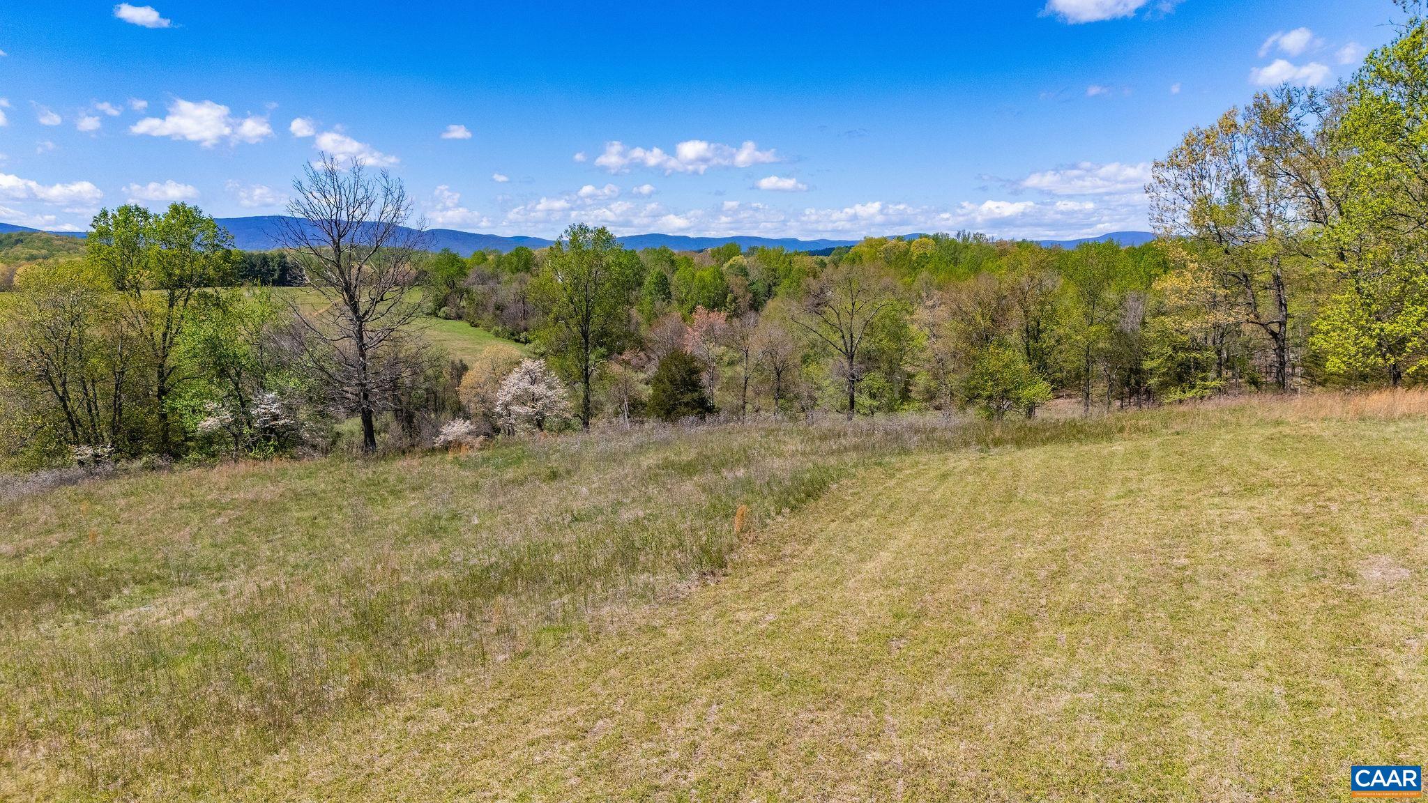 0 BLOOMFIELD RD, CHARLOTTESVILLE, Virginia 22903, ,Land,0 BLOOMFIELD RD,675949 MLS # 675949