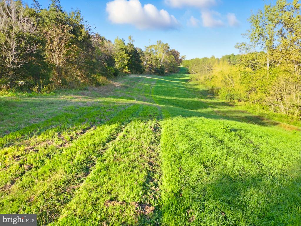 240 STONELEIGH RD, PALMYRA, Virginia 22963, 7 Bedrooms Bedrooms, ,5 BathroomsBathrooms,Residential,240 STONELEIGH RD,VAFN2000664 MLS # VAFN2000664